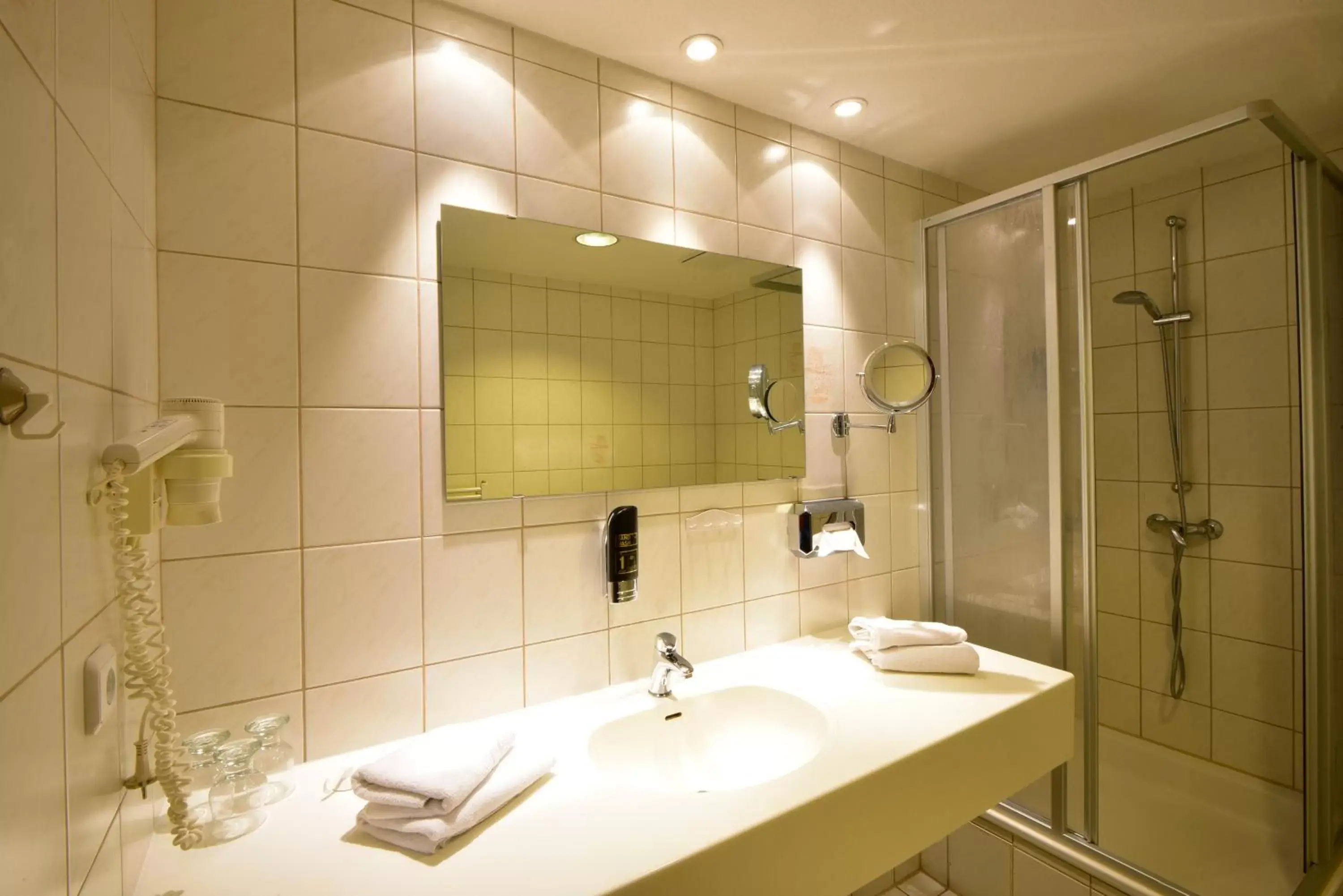 Bathroom in Hotel Alexandra