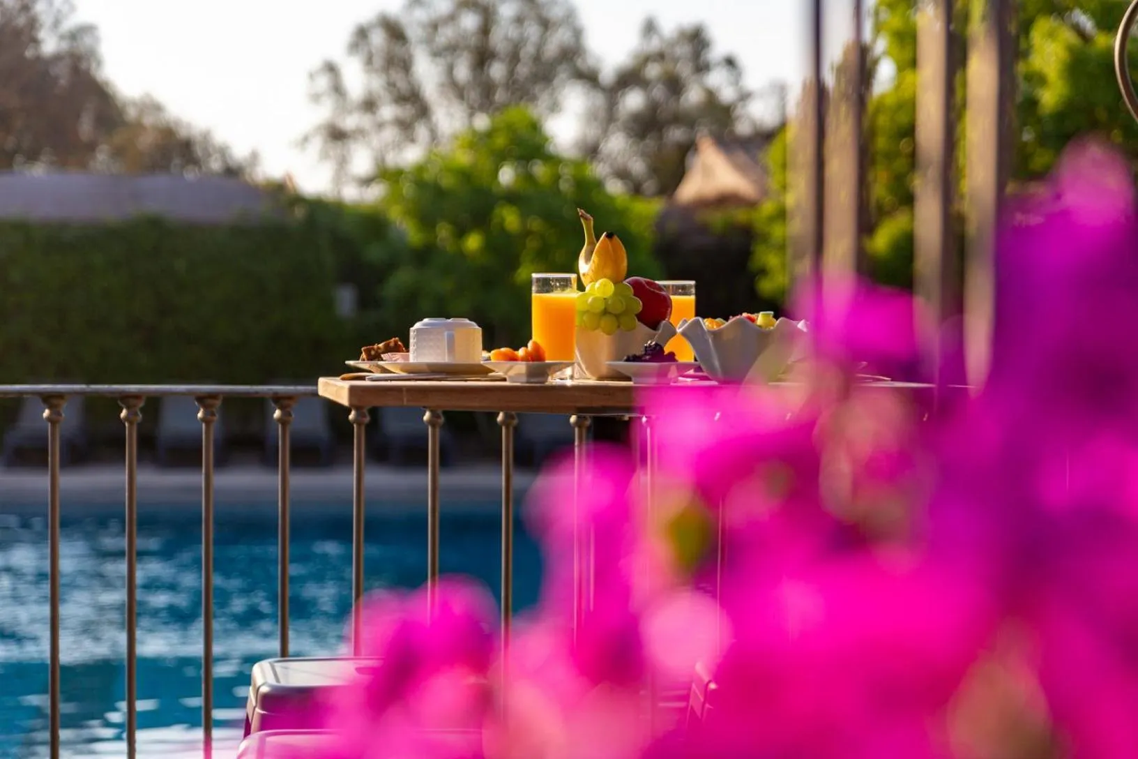 Patio in Hôtel Le Roi Théodore & Spa