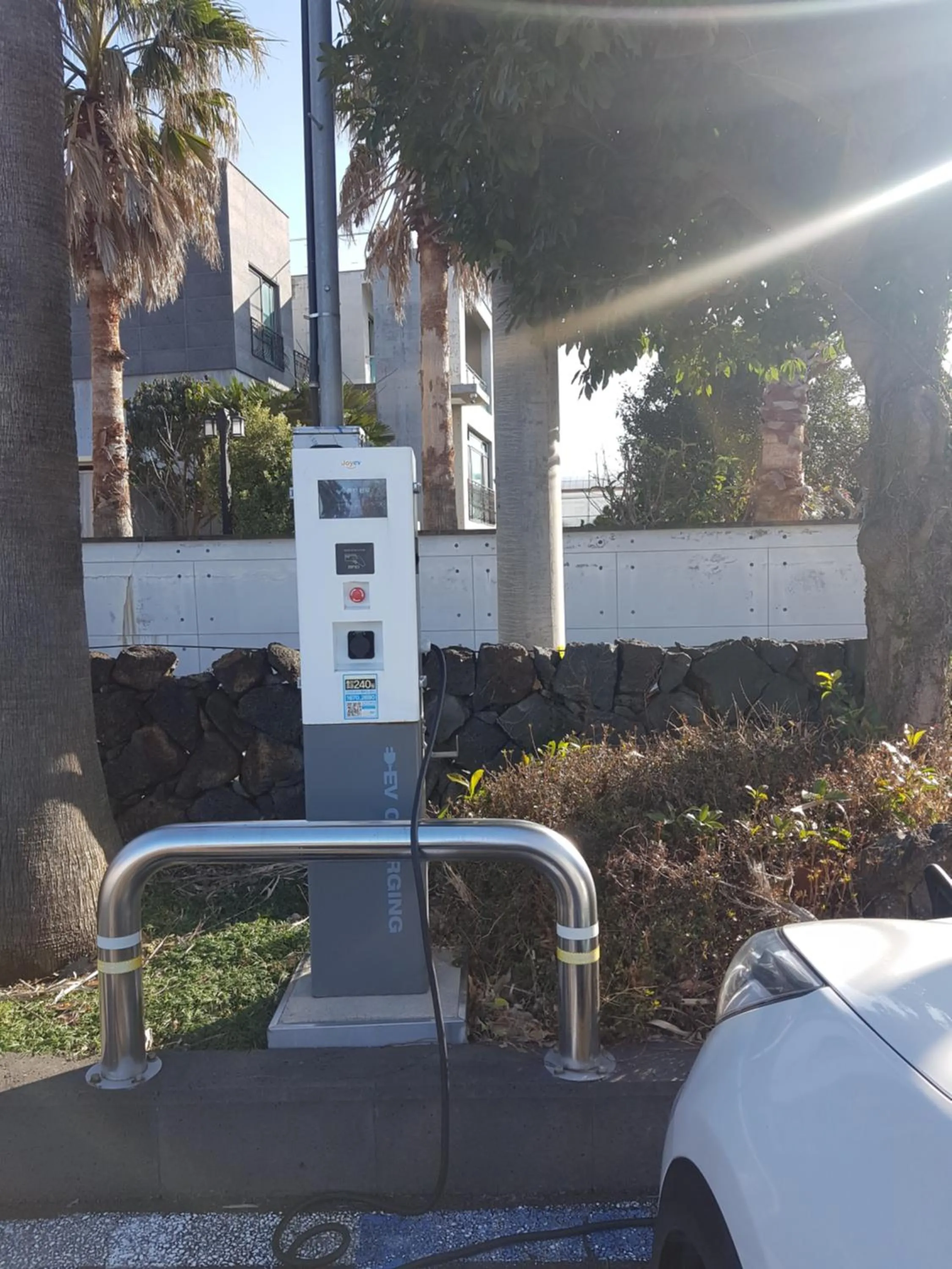 Garden in Jungmun Resort Jeju