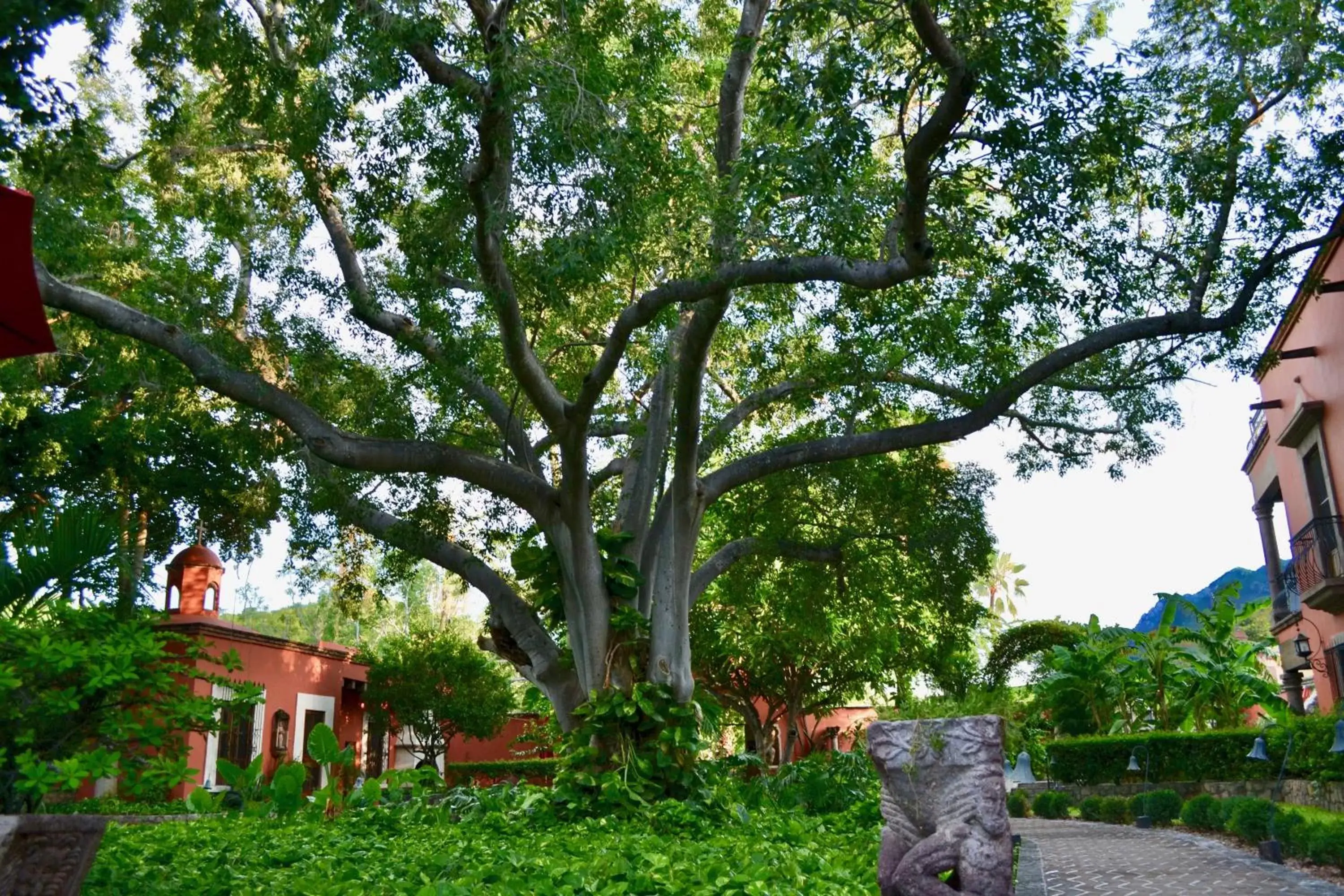 Garden, Property Building in Hacienda de los Santos