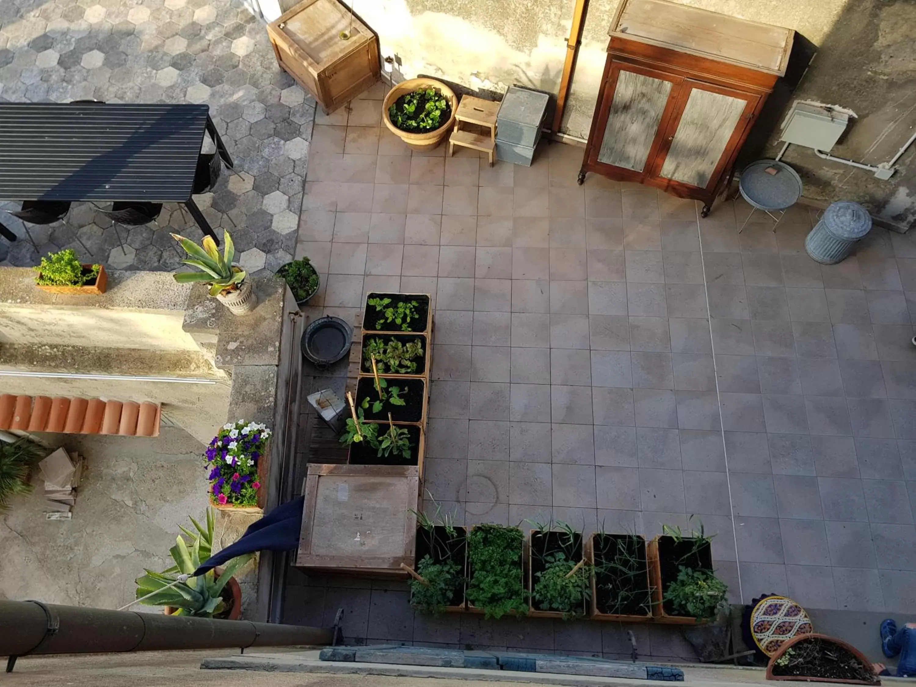 Balcony/Terrace in Villa Eugenia