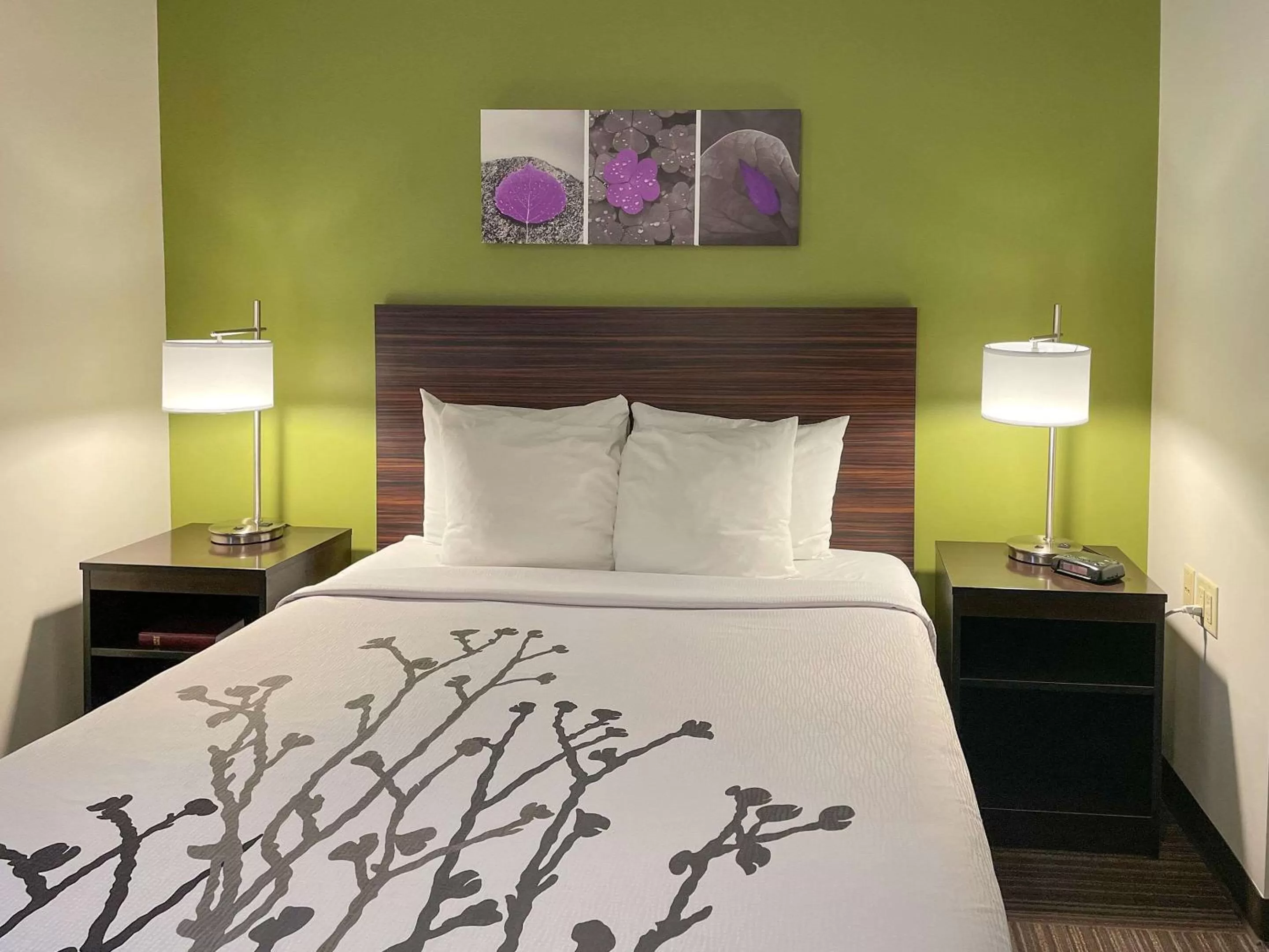 Photo of the whole room, Bed in Sleep Inn