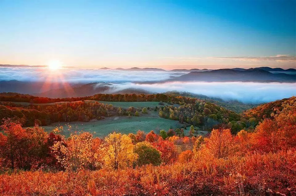 Natural Landscape in Jonathan Creek Inn and Villas