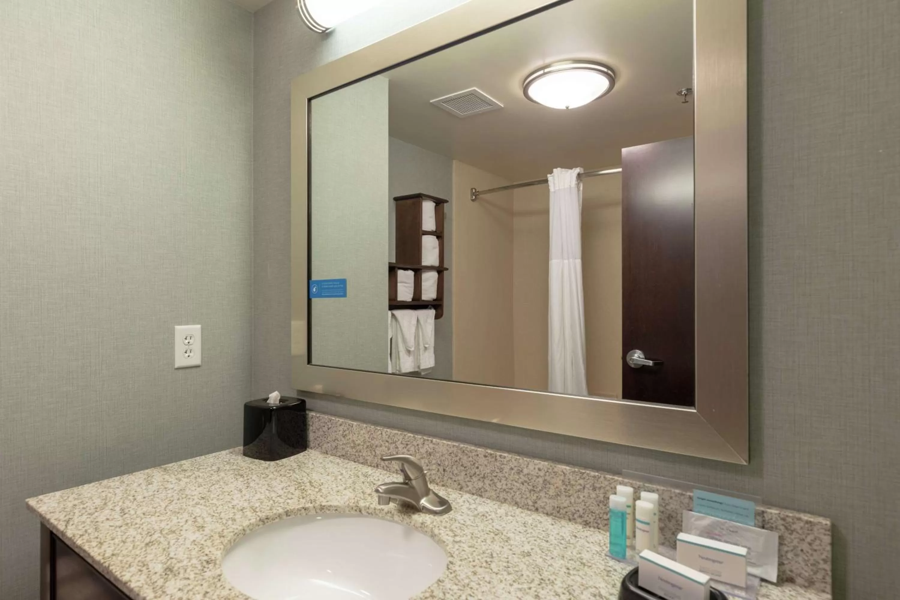 Bathroom in Hampton Inn and Suites Adairsville/Calhoun Area