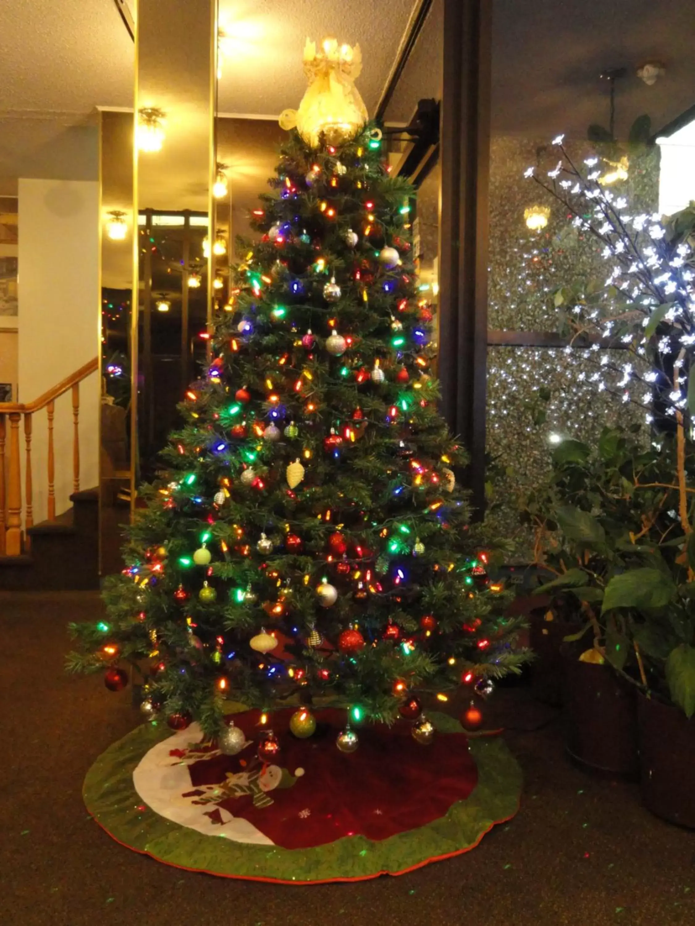 Lobby or reception in English Bay Hotel