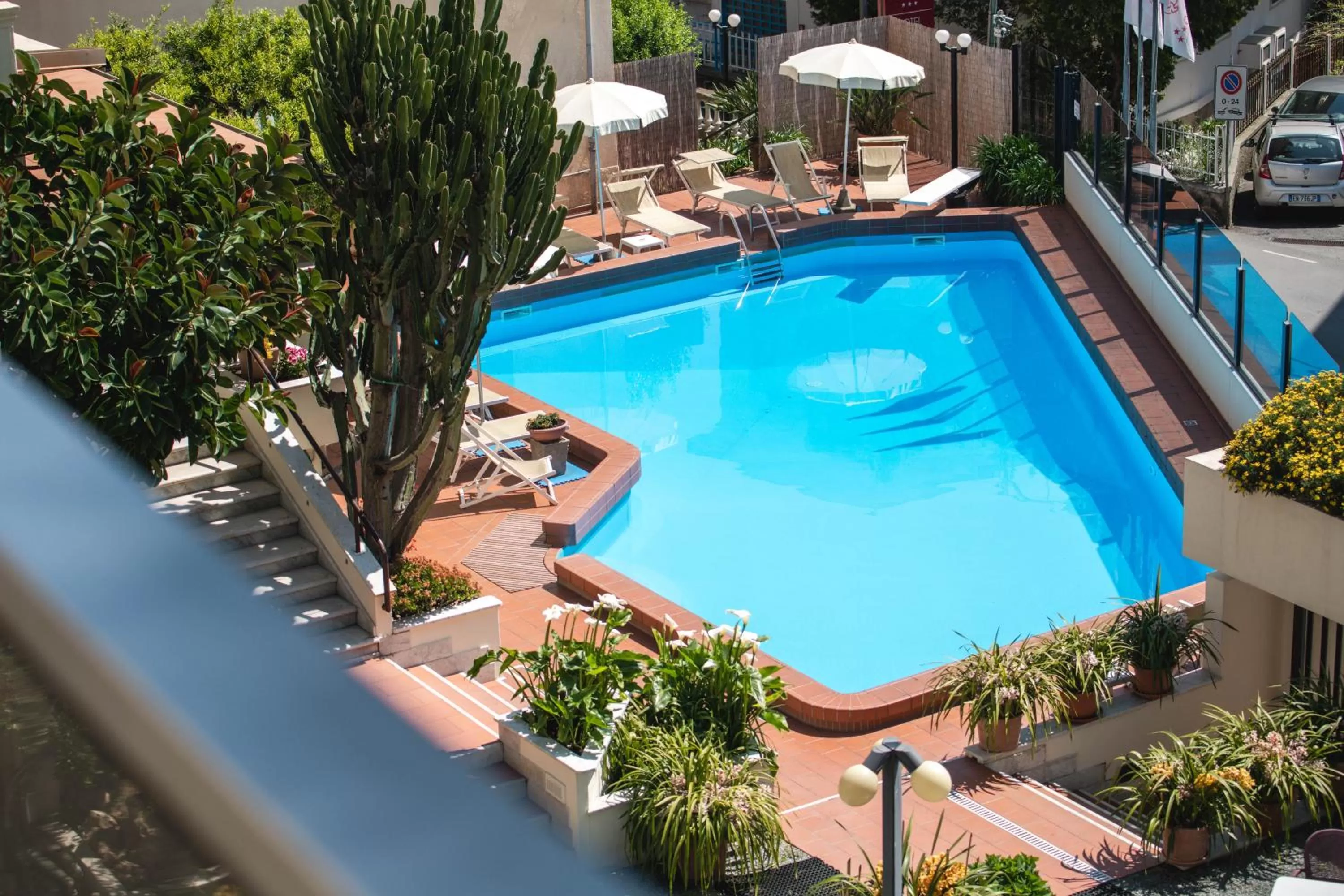 Pool view in Coccodrillo Hotel & Apartments