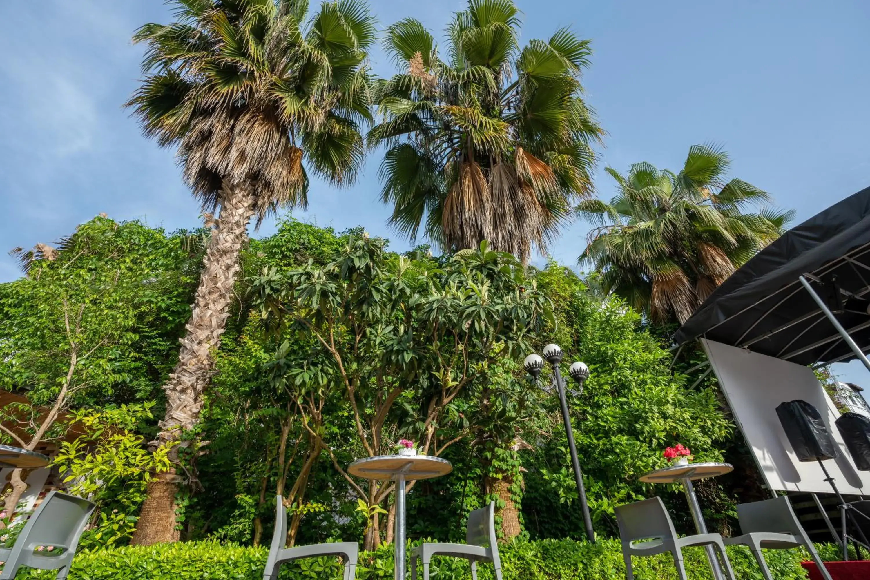 Garden view in Grand Viking Hotel