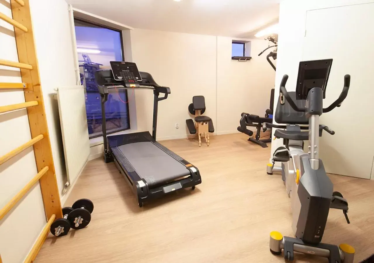 Fitness centre/facilities, Fitness Center/Facilities in Kyriad Prestige Hotel Clermont-Ferrand