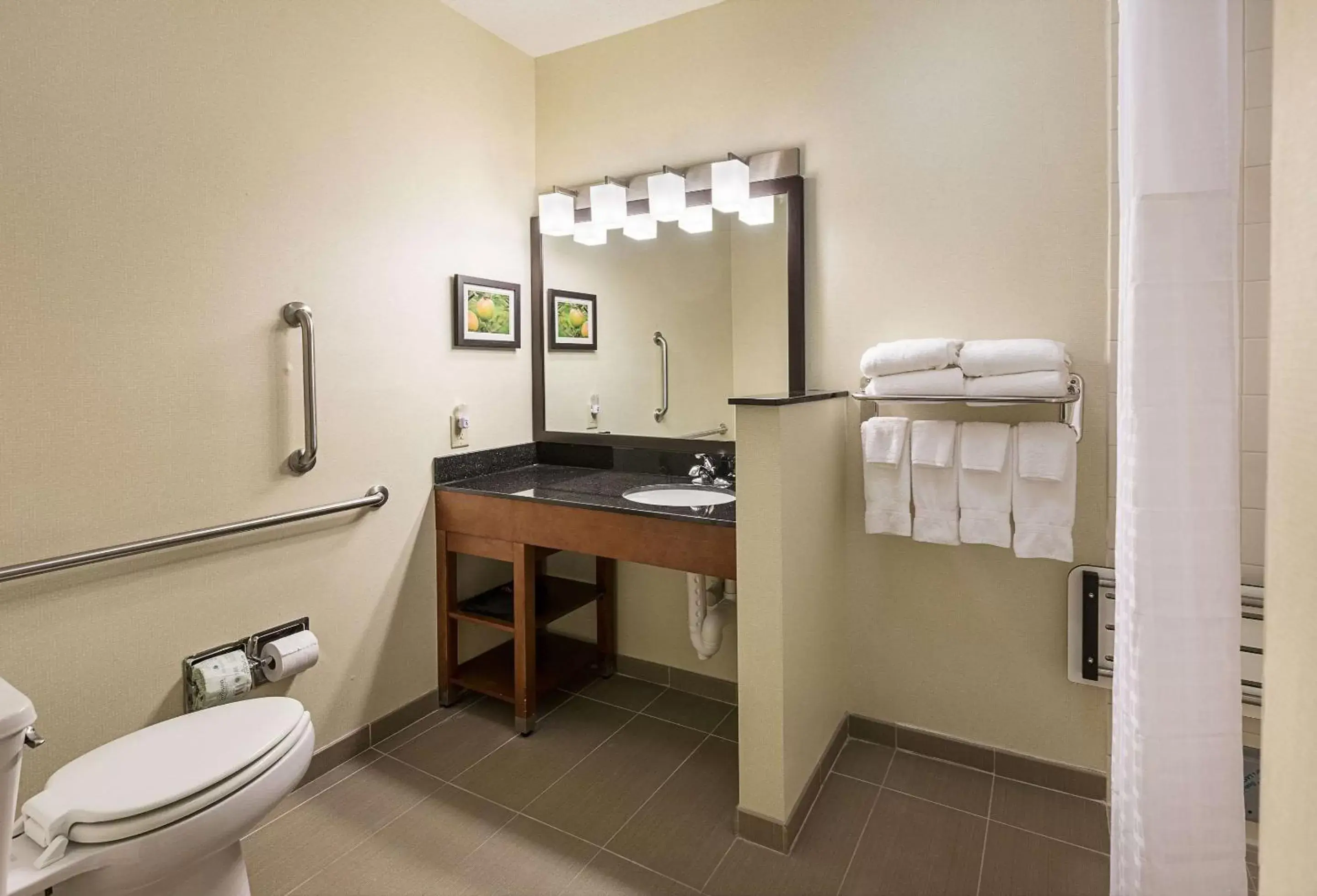 Bathroom in Comfort Suites Saginaw