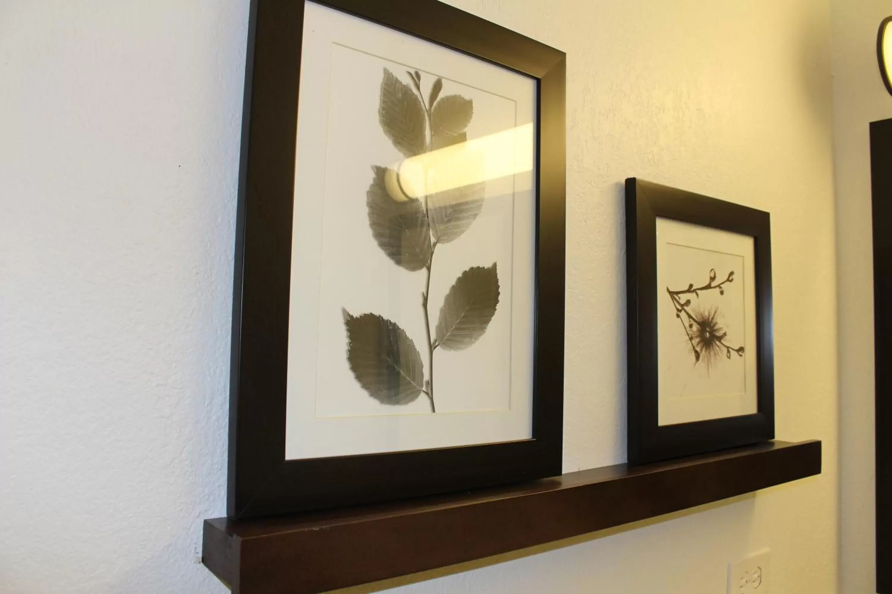 Bathroom, Logo/Certificate/Sign/Award in Country Inn & Suites by Radisson, Romeoville, IL