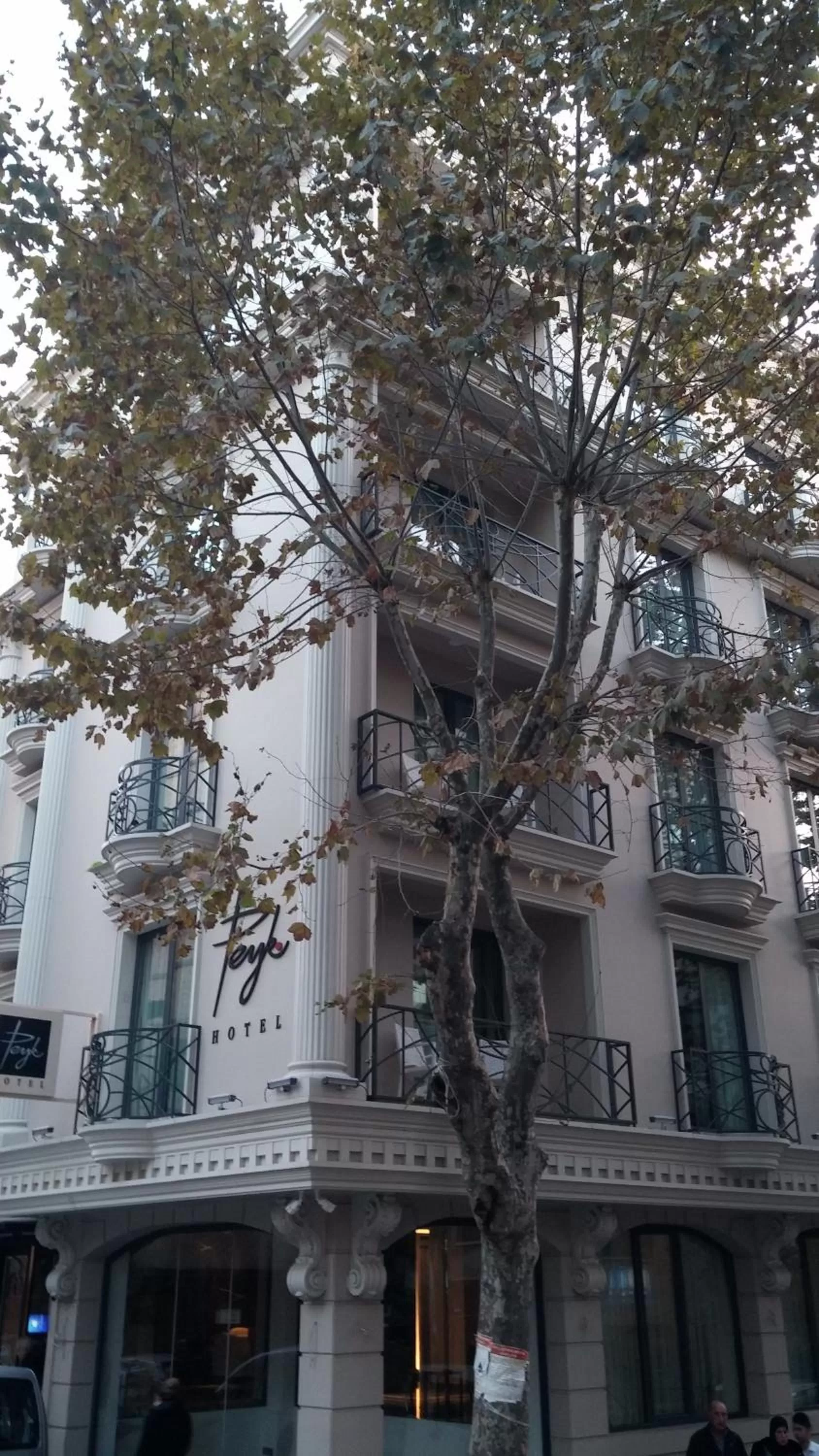Facade/entrance in Peyk Hotel Oldcity