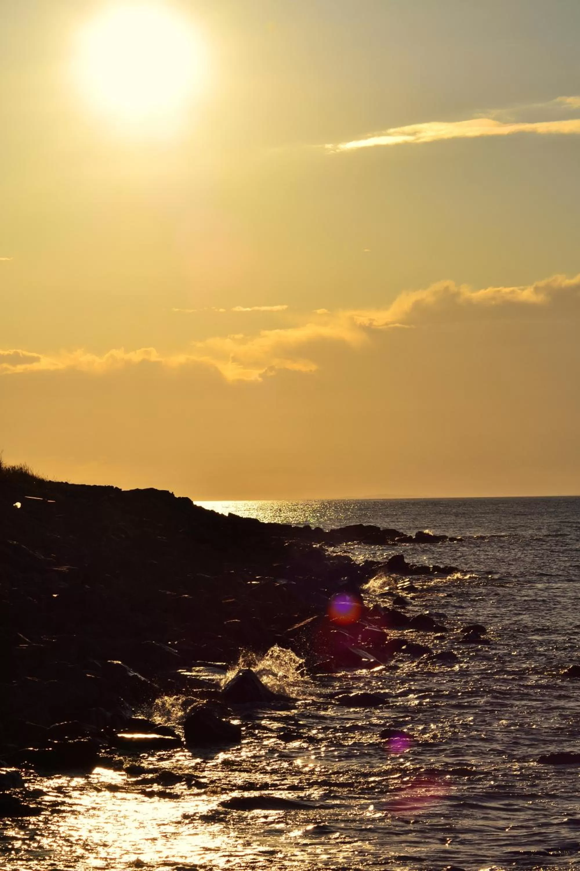 Area and facilities in Stotfield Hotel