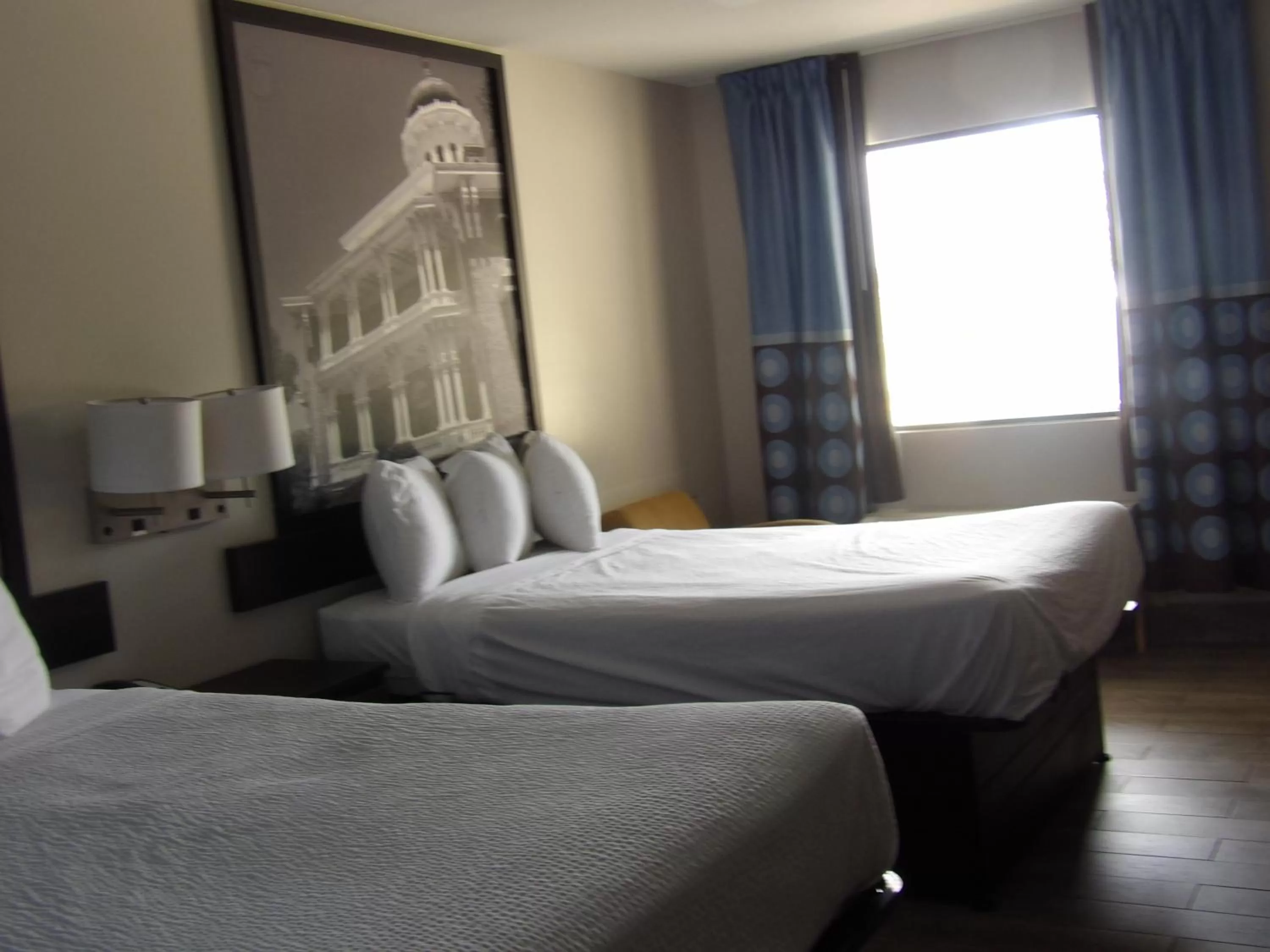 Bed in Super 8 by Wyndham Ocean Springs Biloxi