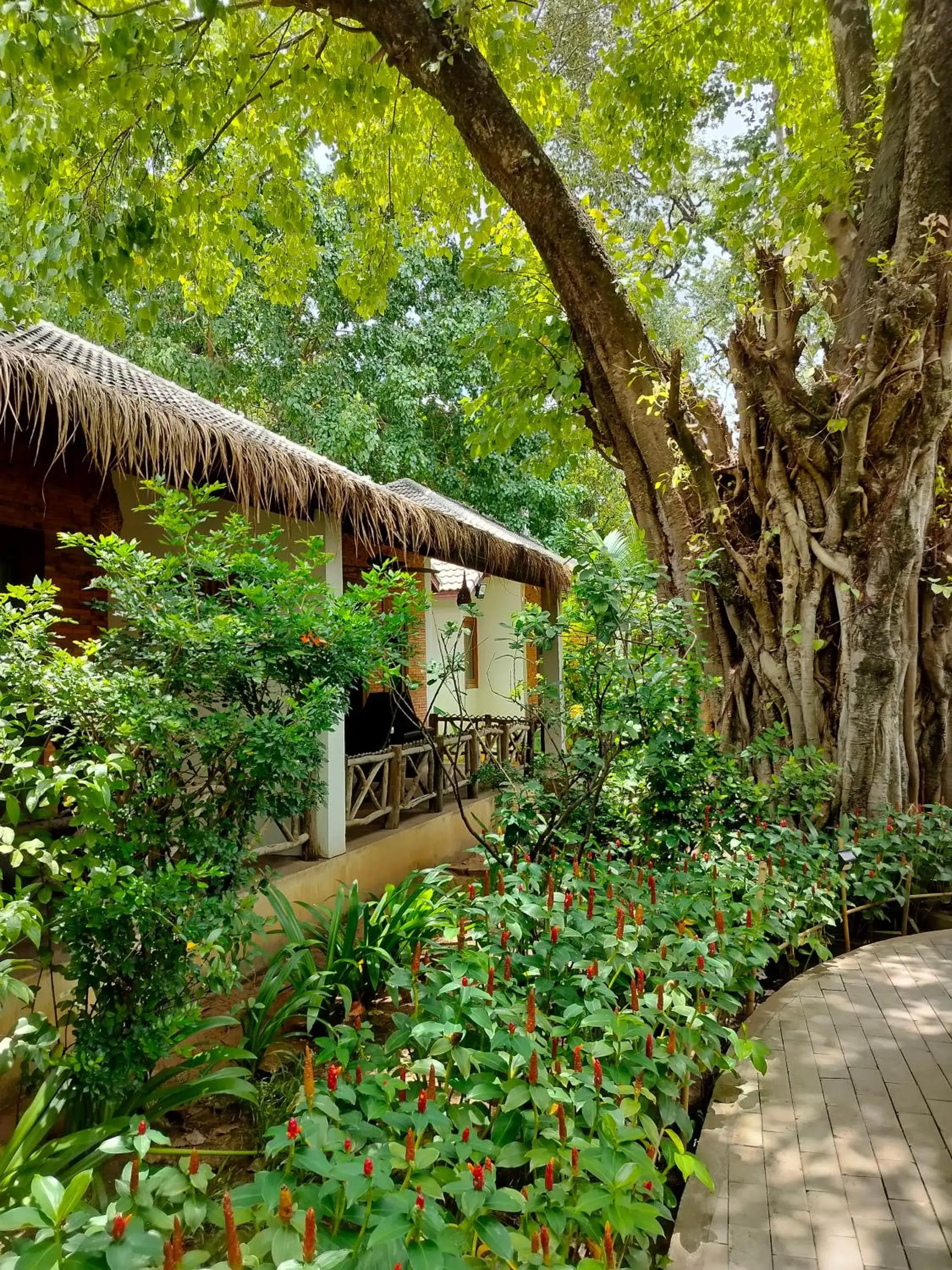 Garden in La Rivière d' Angkor Resort
