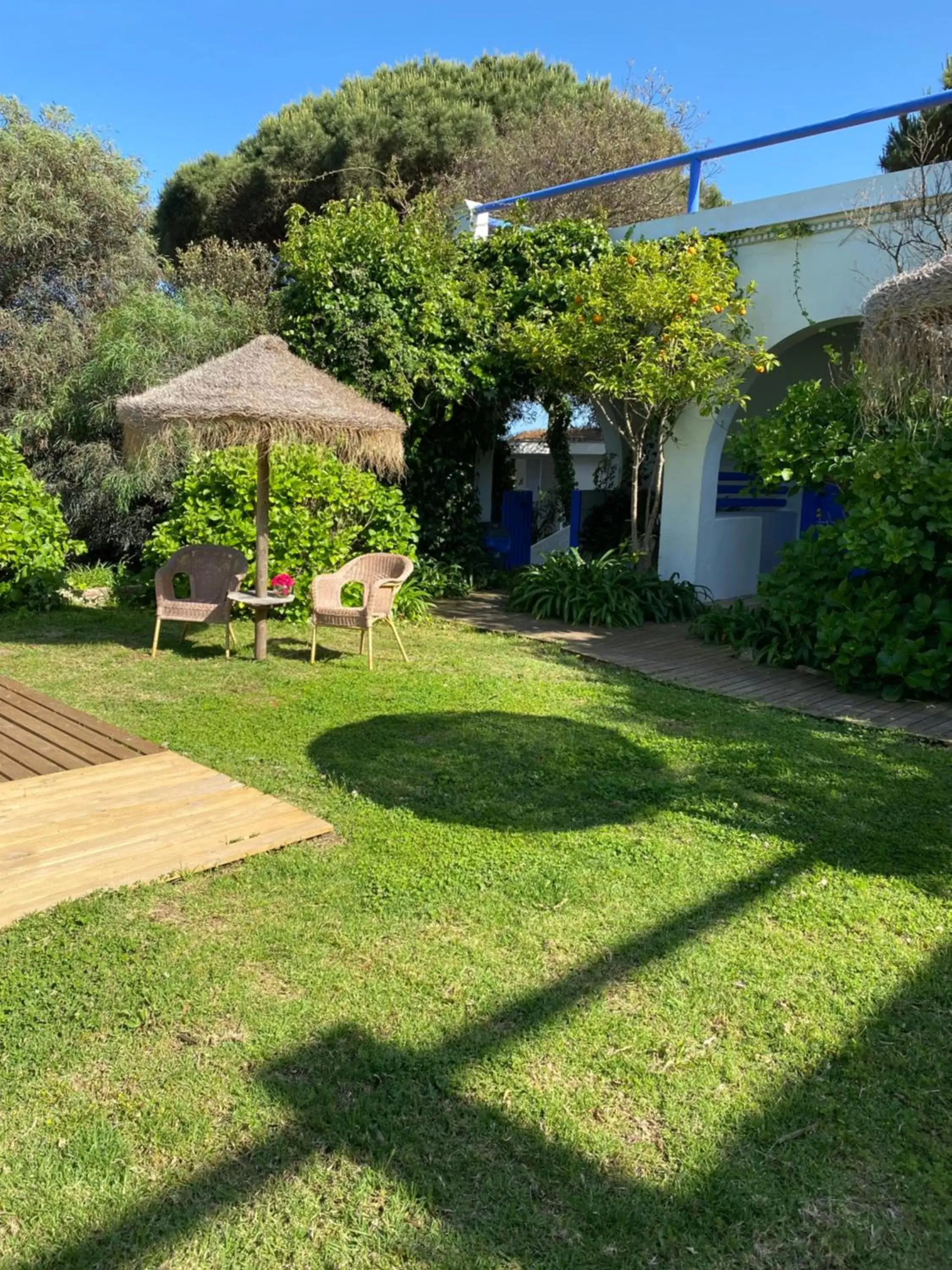 Garden in Mesón de Sancho