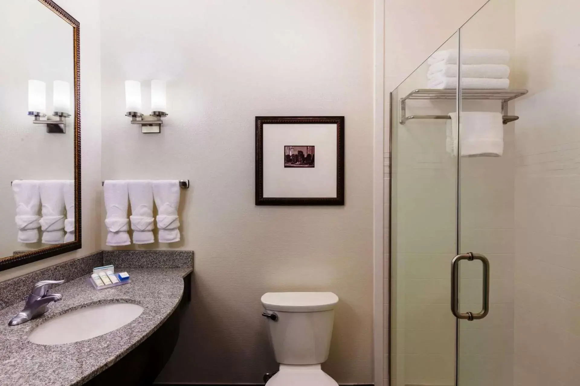 Bathroom in Hilton Garden Inn Denison/Sherman/At Texoma Event Center