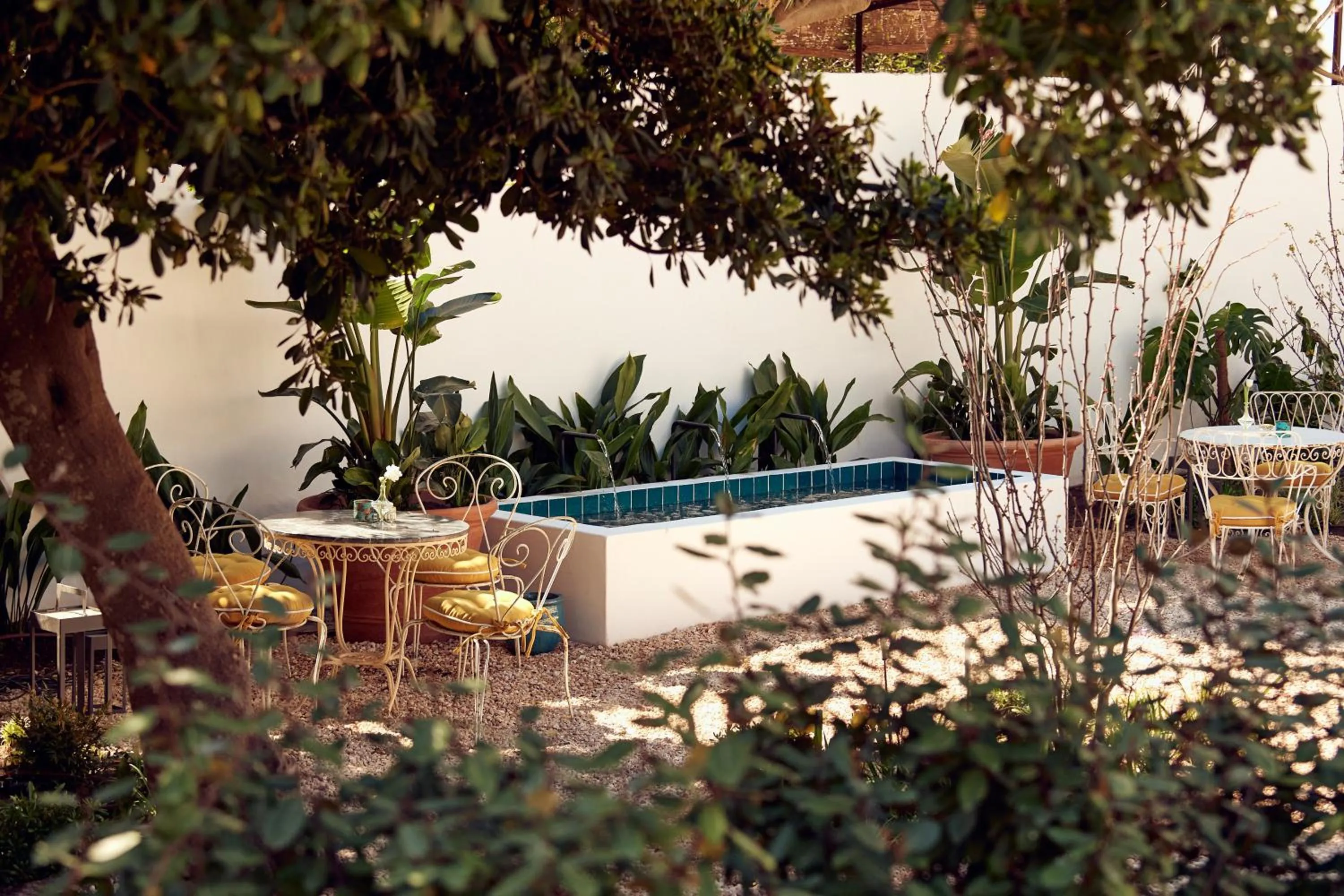 Garden in Cristine Bedfor Mahon Boutique Hotel