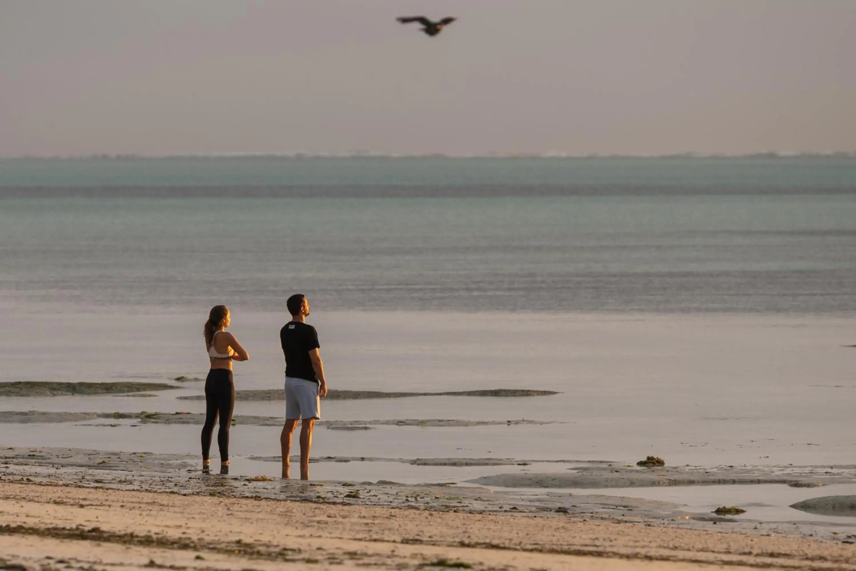 People, Beach in Hakuna Majiwe Beach Lodge Zanzibar