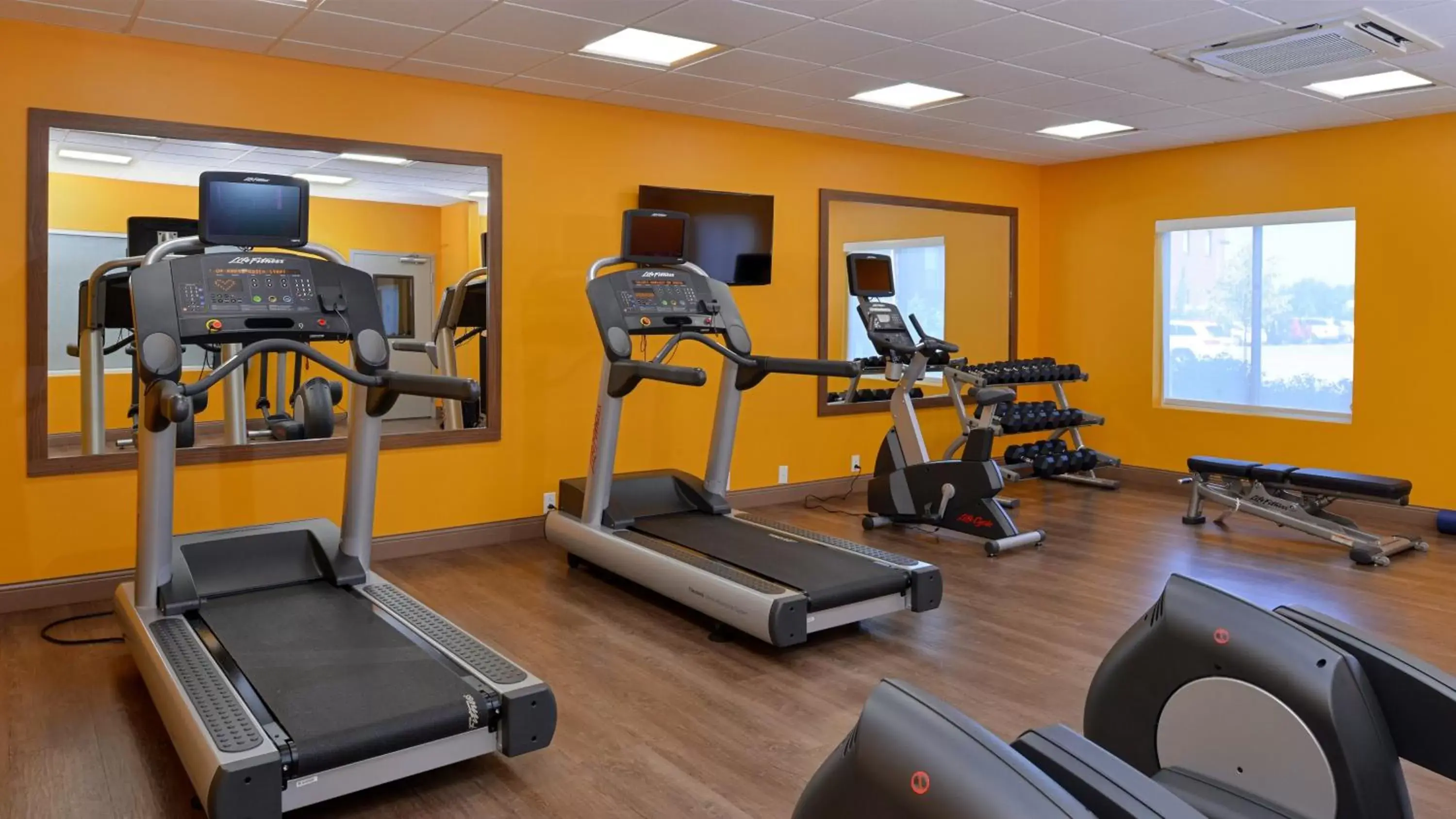 Fitness centre/facilities, Fitness Center/Facilities in Holiday Inn Express & Suites Lexington Midtown - I-75, an IHG Hotel