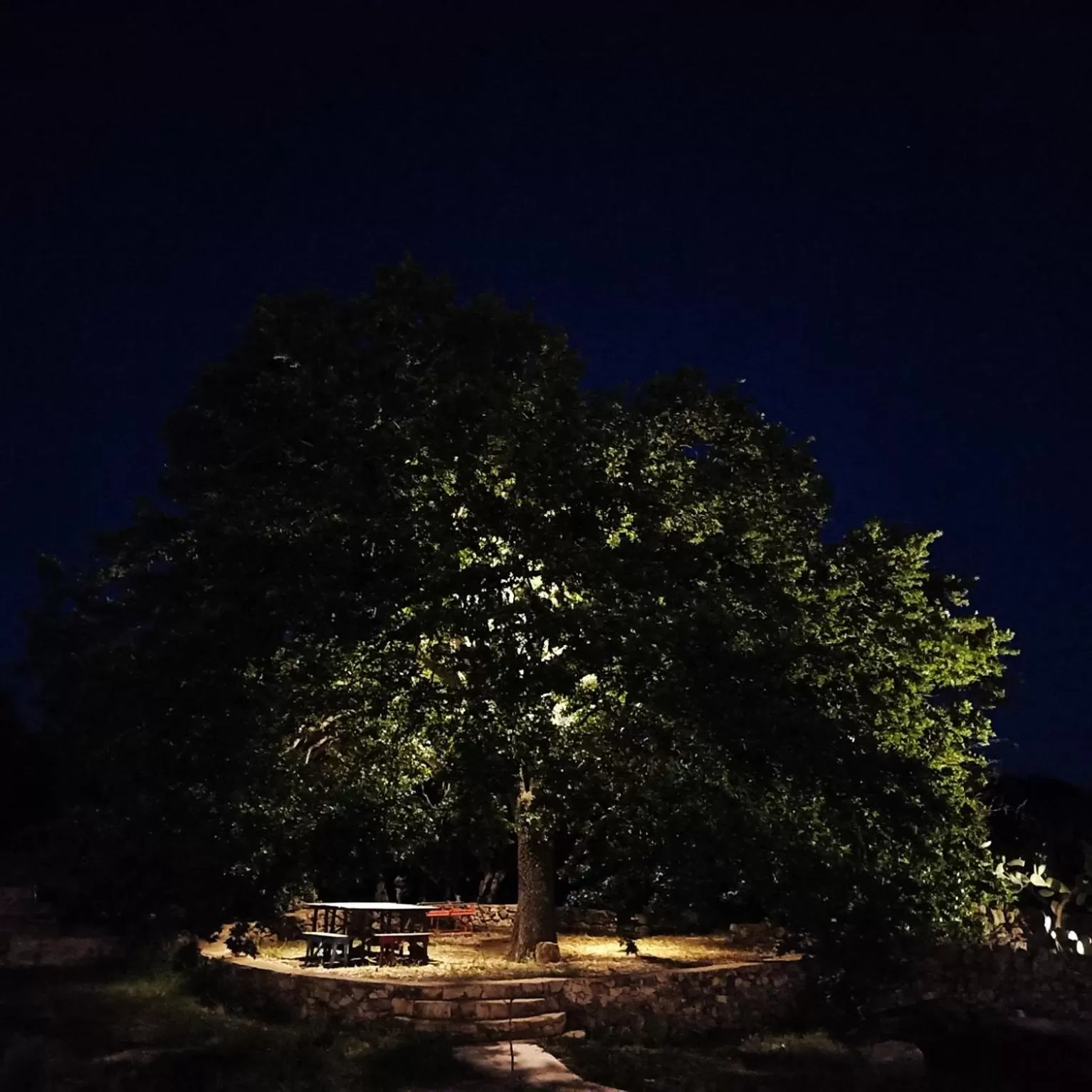 Natural landscape in Masseria LoJazzo