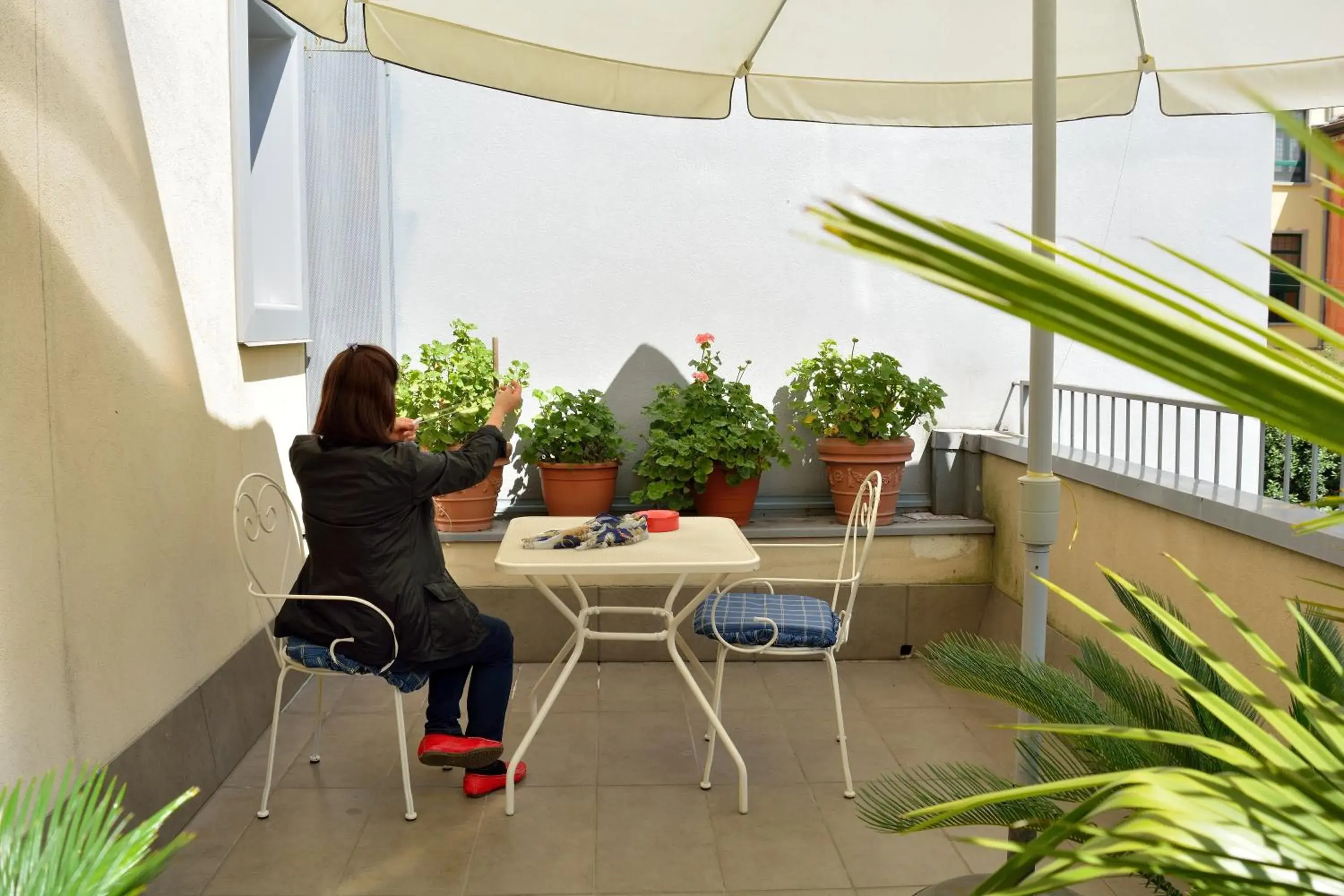 Balcony/Terrace in Hotel Susa