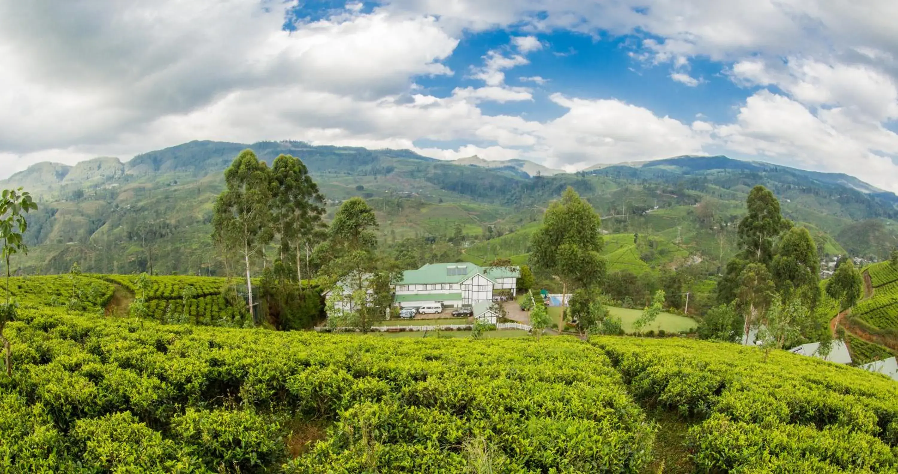 Bird's eye view, Mountain View in Langdale Boutique Hotel by Amaya