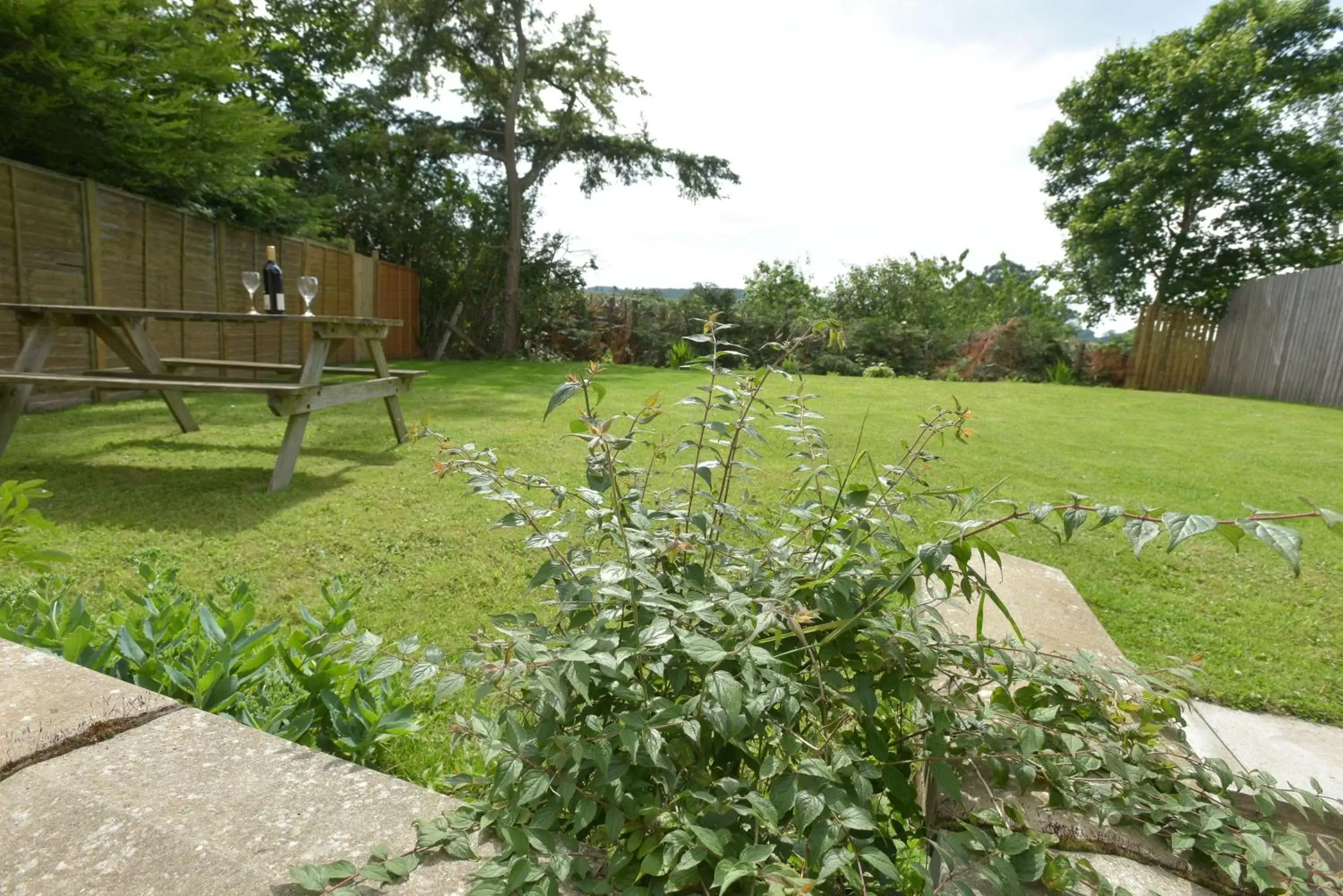 Garden in Edenhall Country Hotel