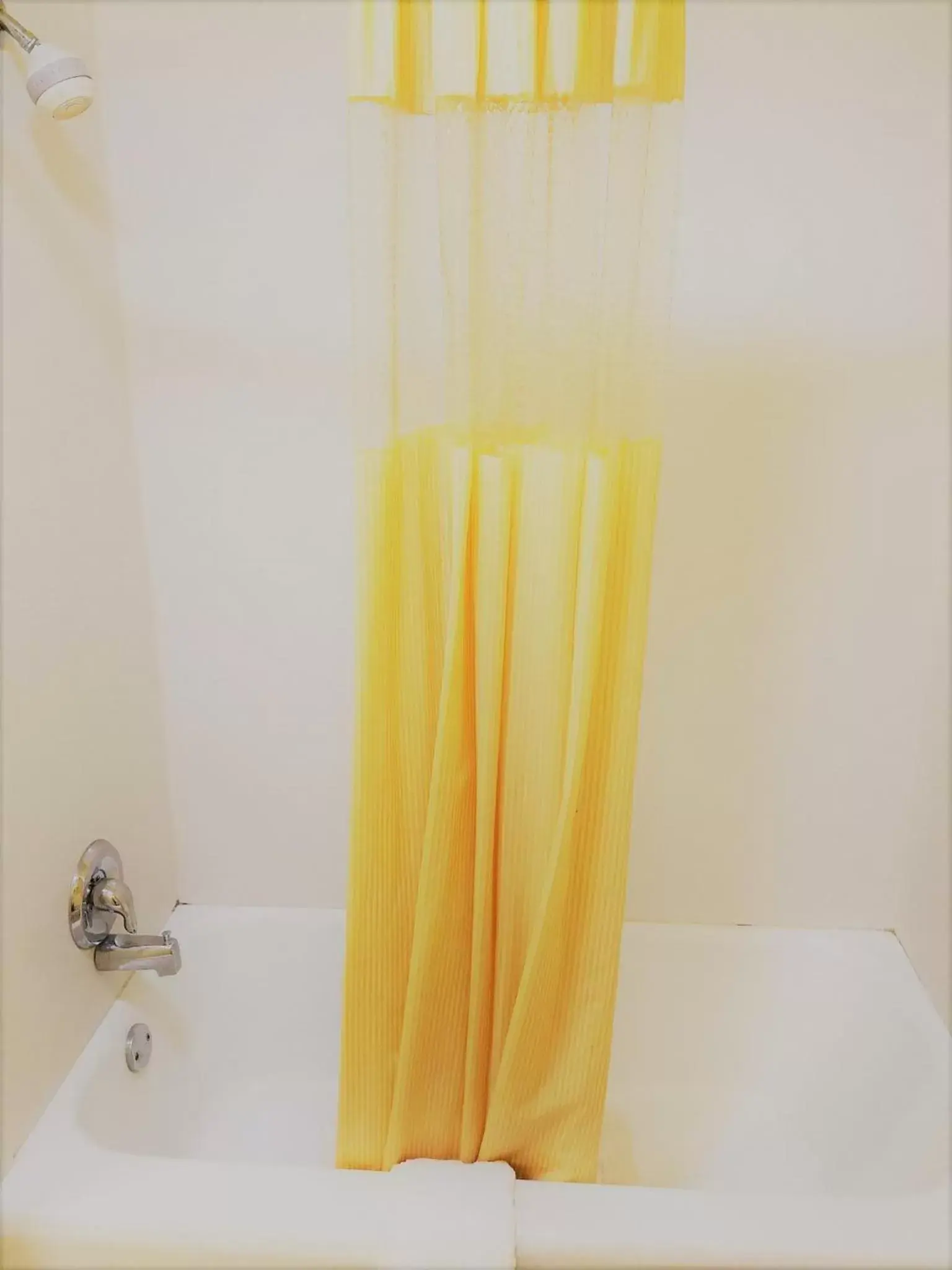 Shower, Bathroom in Roadway Inn Troy