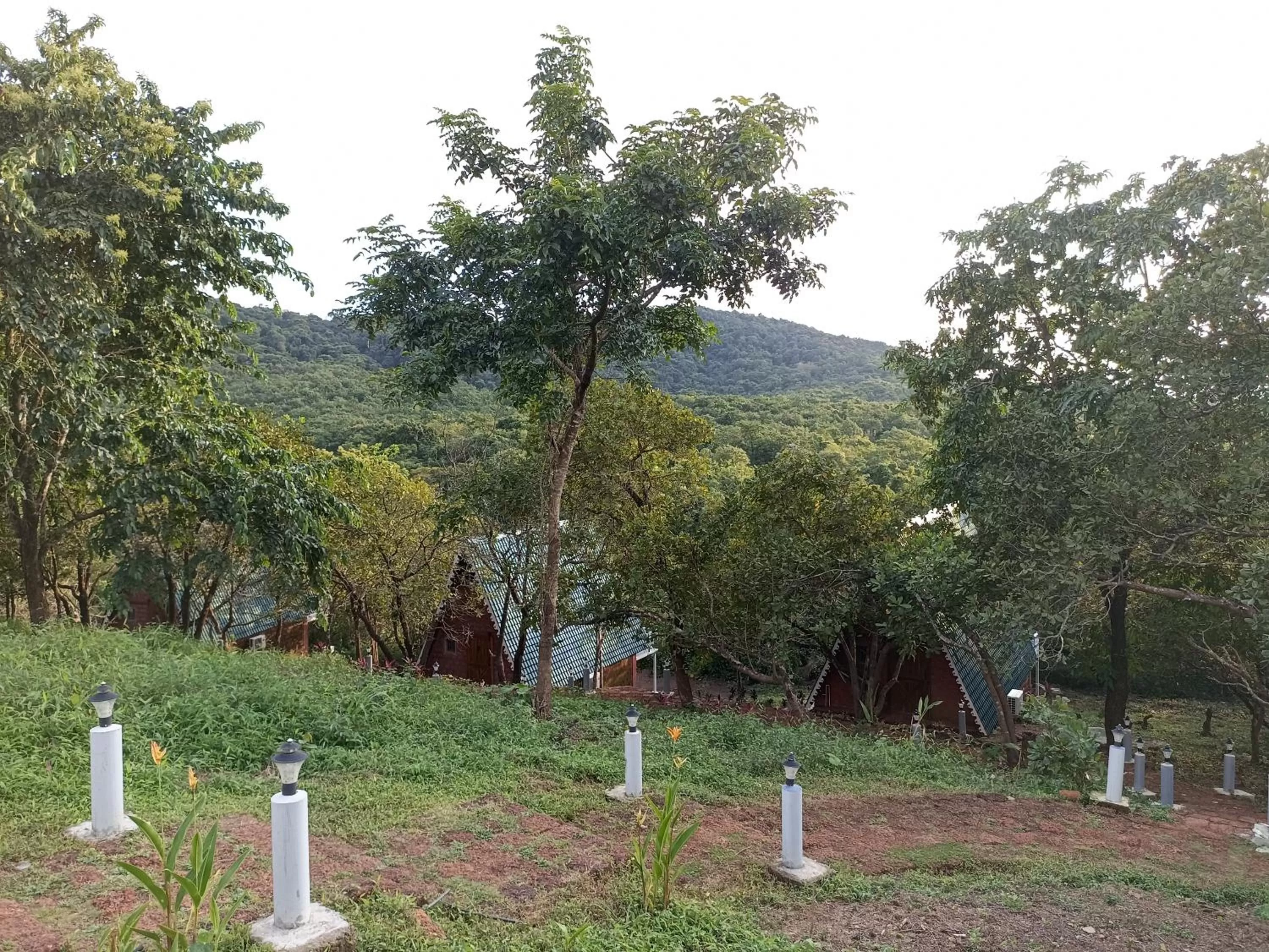 Natural landscape in Porsu