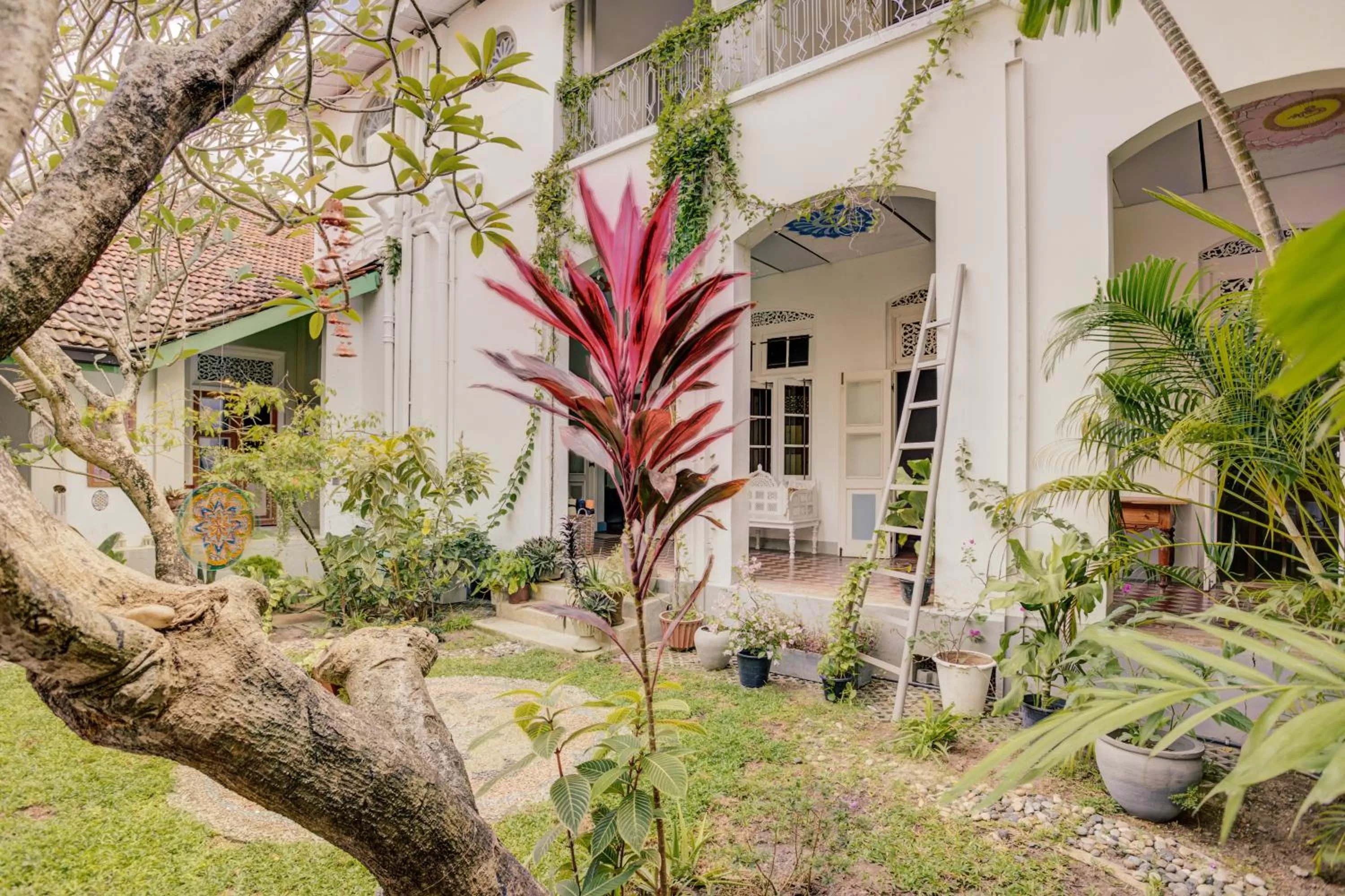 Property Building in Prana Home