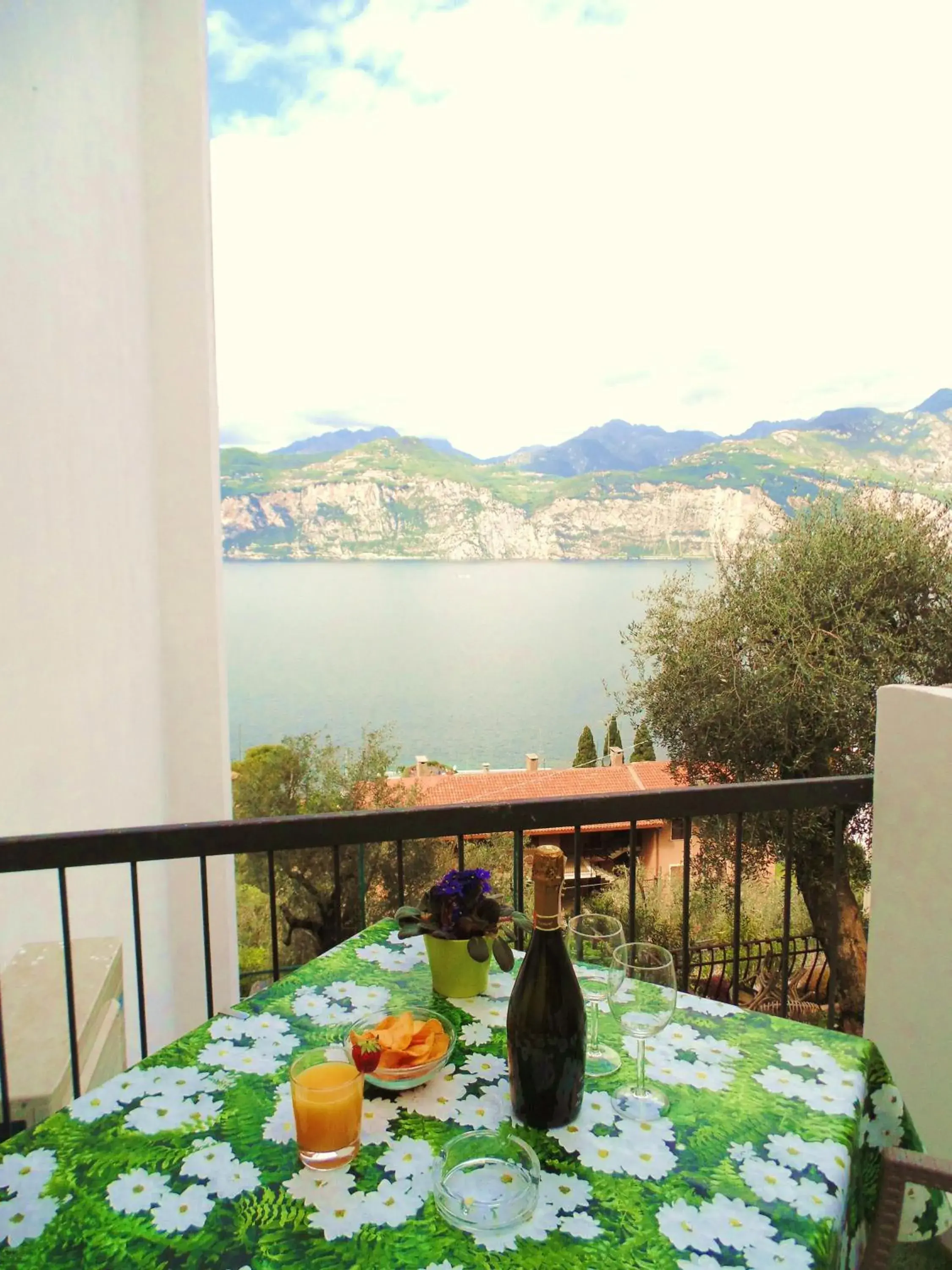 View (from property/room) in Villa Emma Malcesine