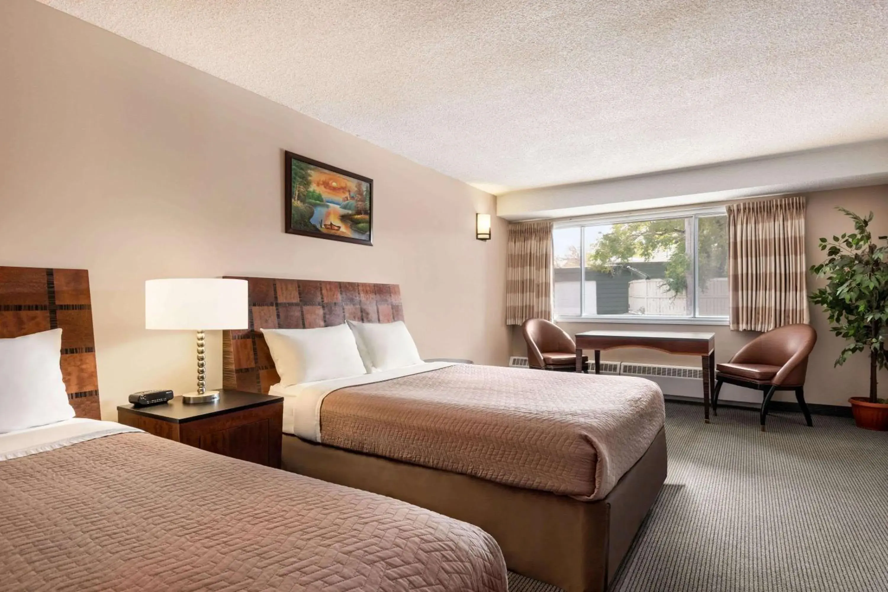 Photo of the whole room, Bed in Travelodge by Wyndham Swift Current
