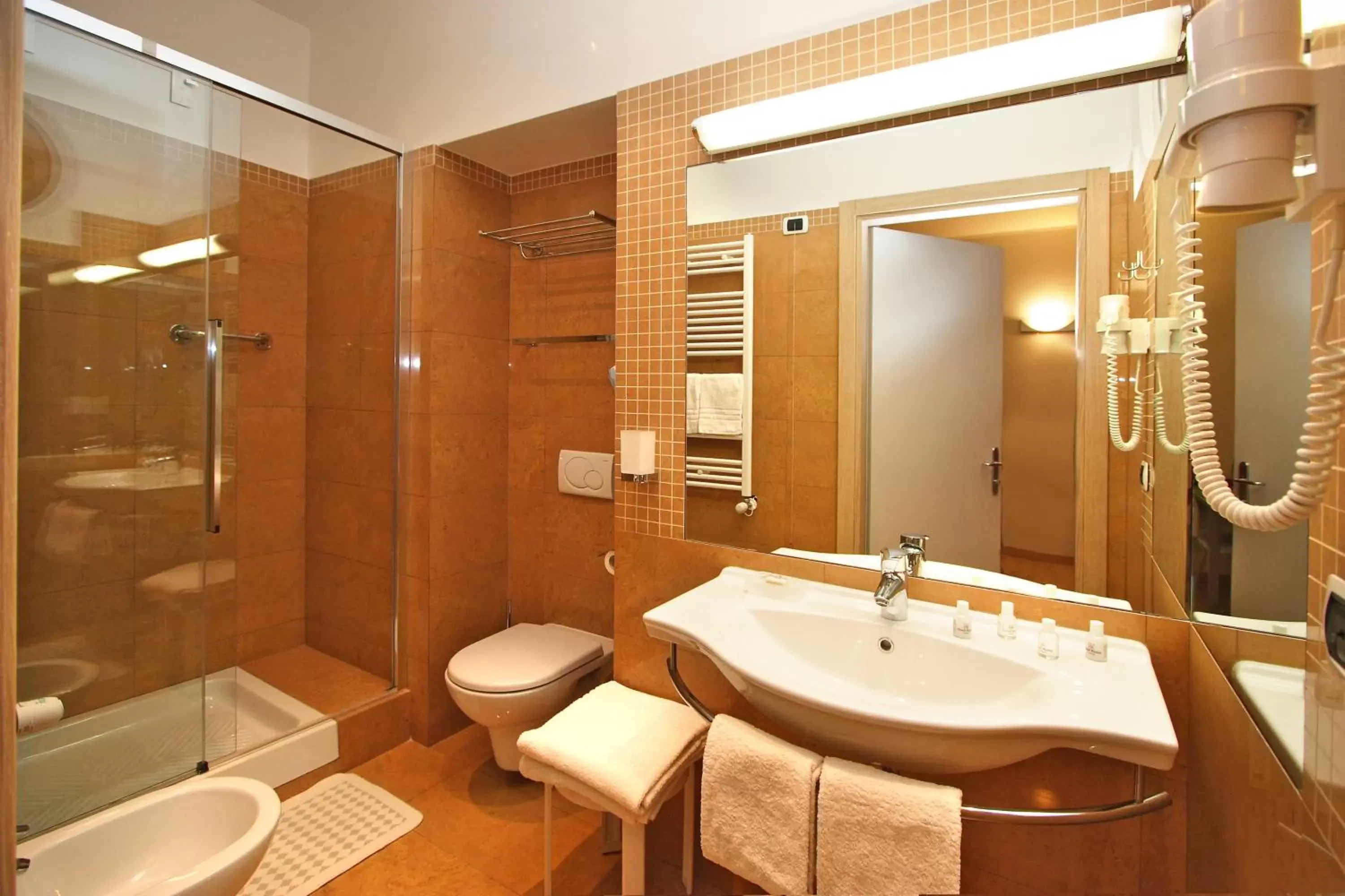 Bathroom in Hotel Roma