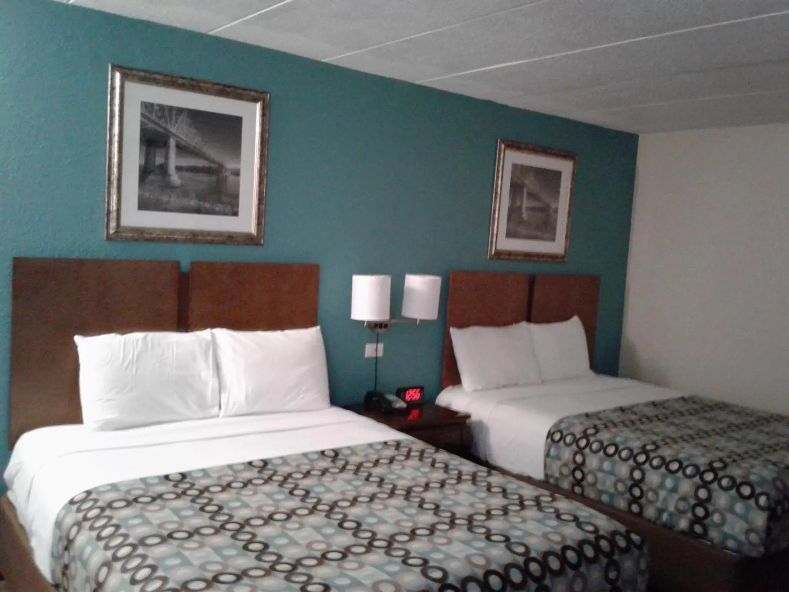 Photo of the whole room, Bed in Red Carpet Inn Rochester