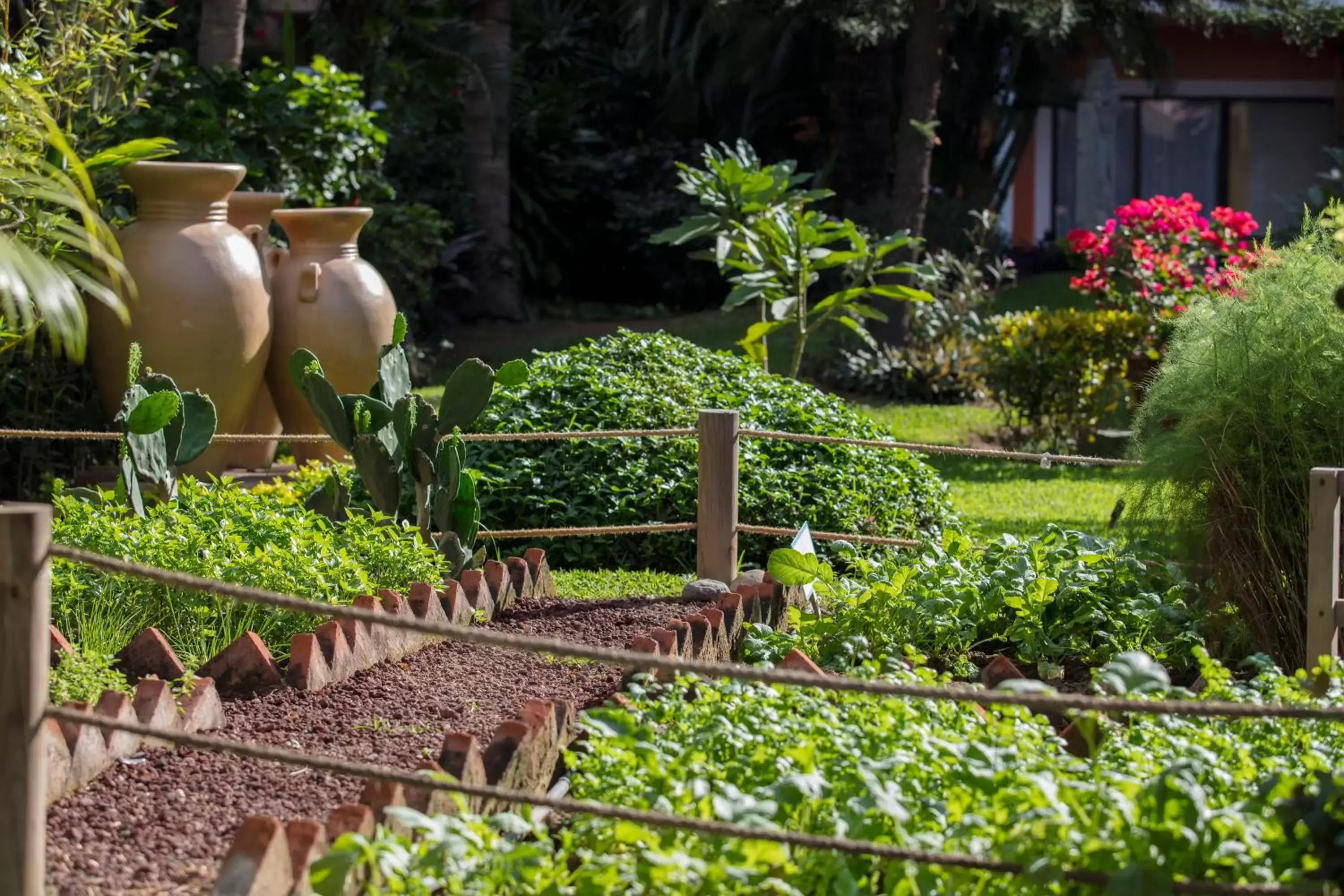 Garden in Flamingo Vallarta Hotel & Marina