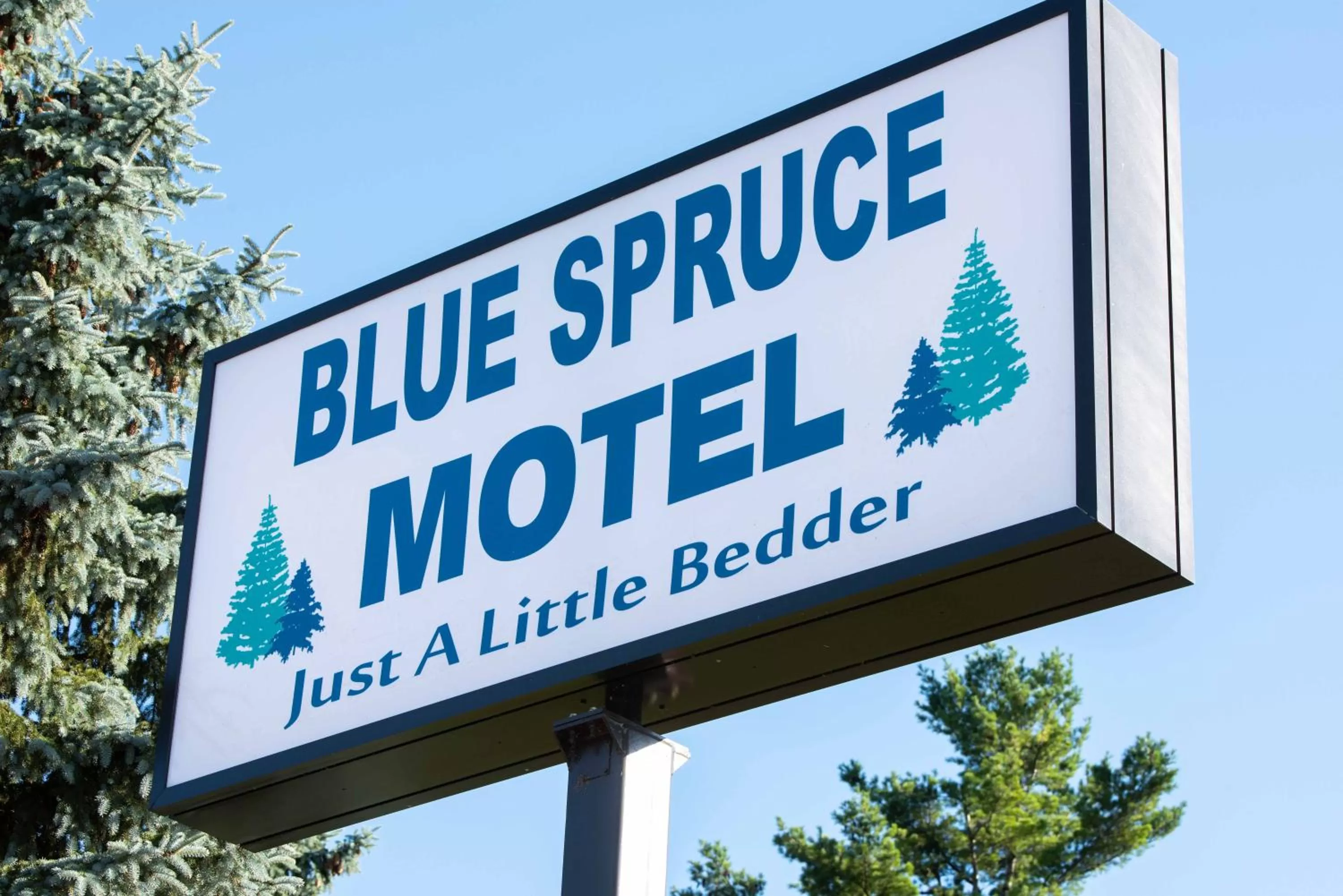 Property logo or sign in Blue Spruce Motel