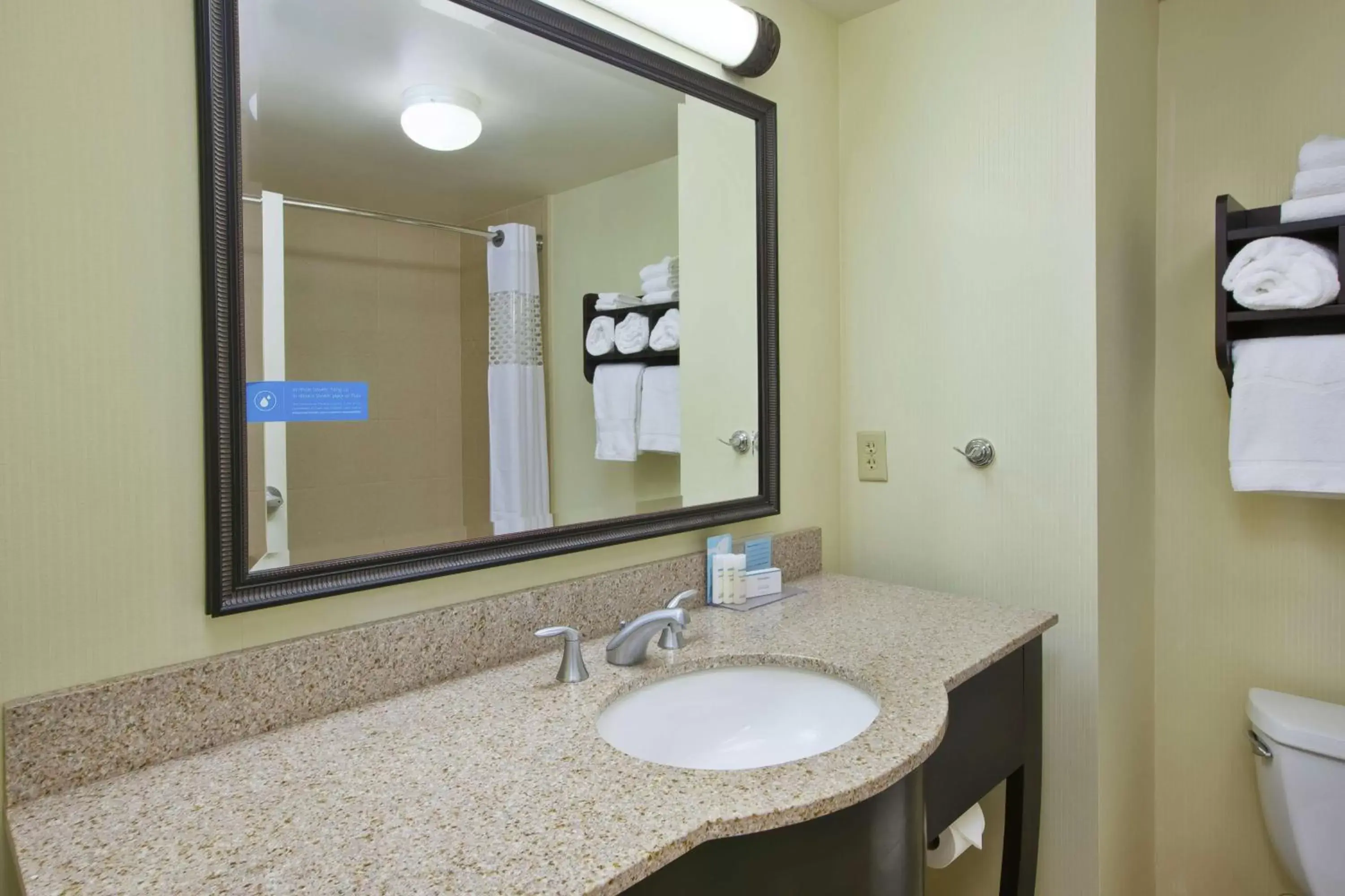 Bathroom in Hampton Inn & Suites Plattsburgh