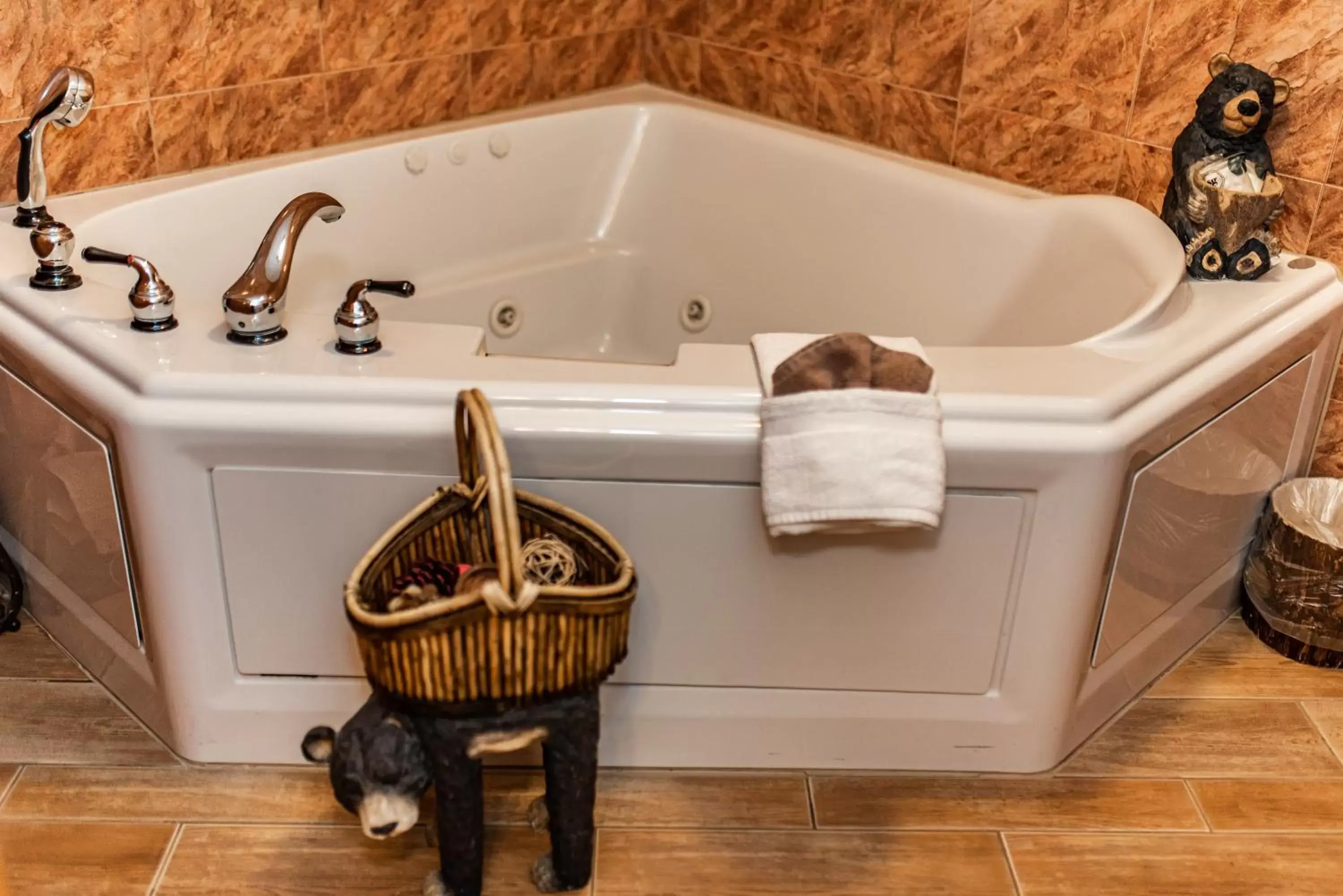 Hot Tub, Bathroom in Gateway Inn and Suites