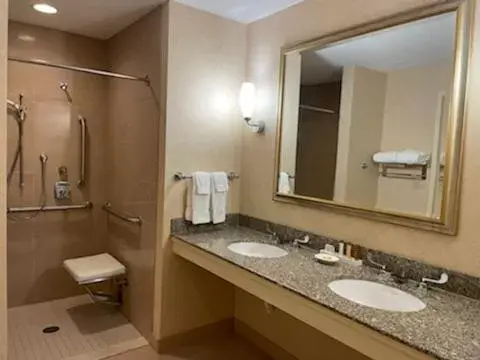 Shower, Bathroom in Southbridge Hotel and Conference Center