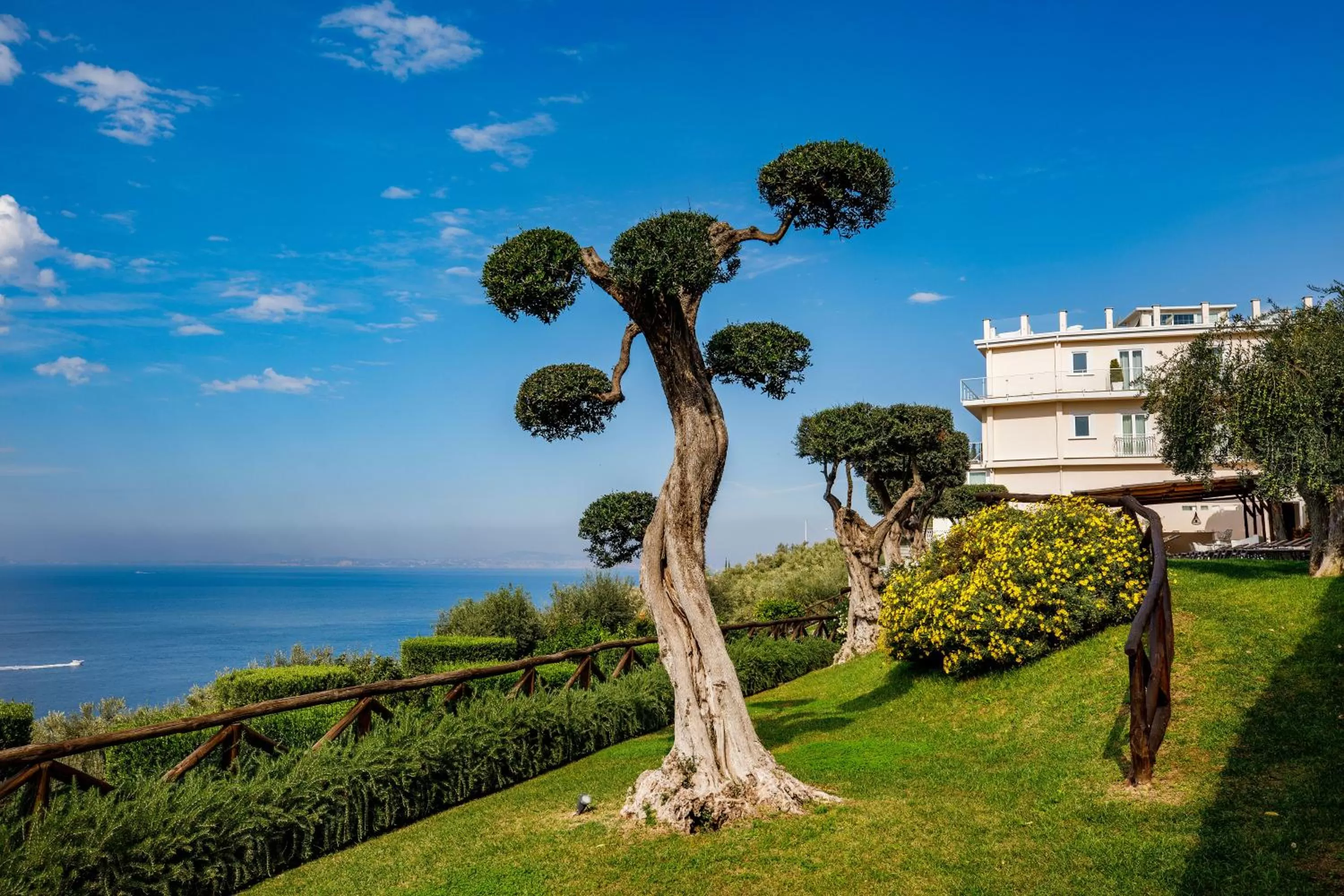 Garden in Villa Fiorella Art Hotel