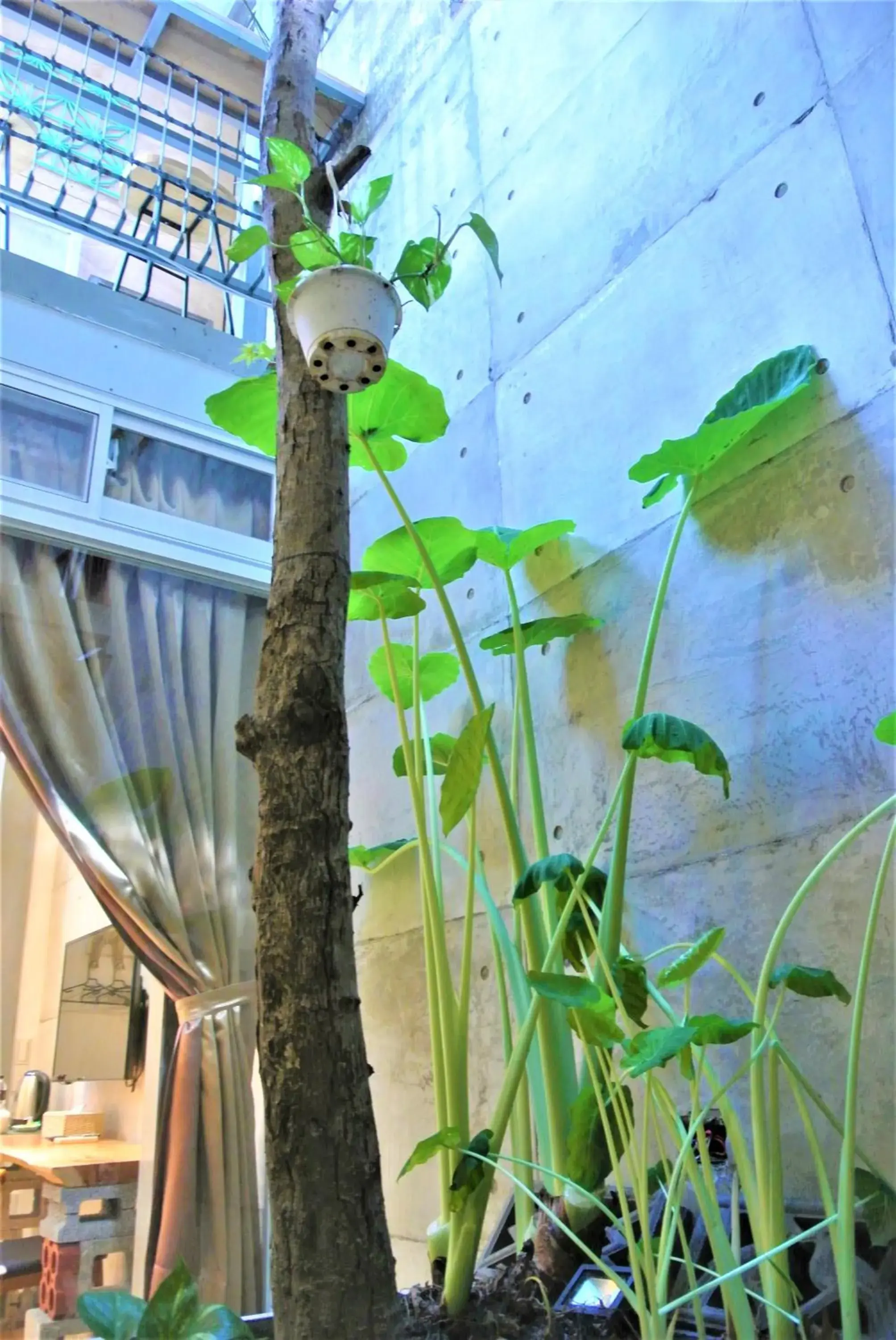 Patio in Chung Fu Inn