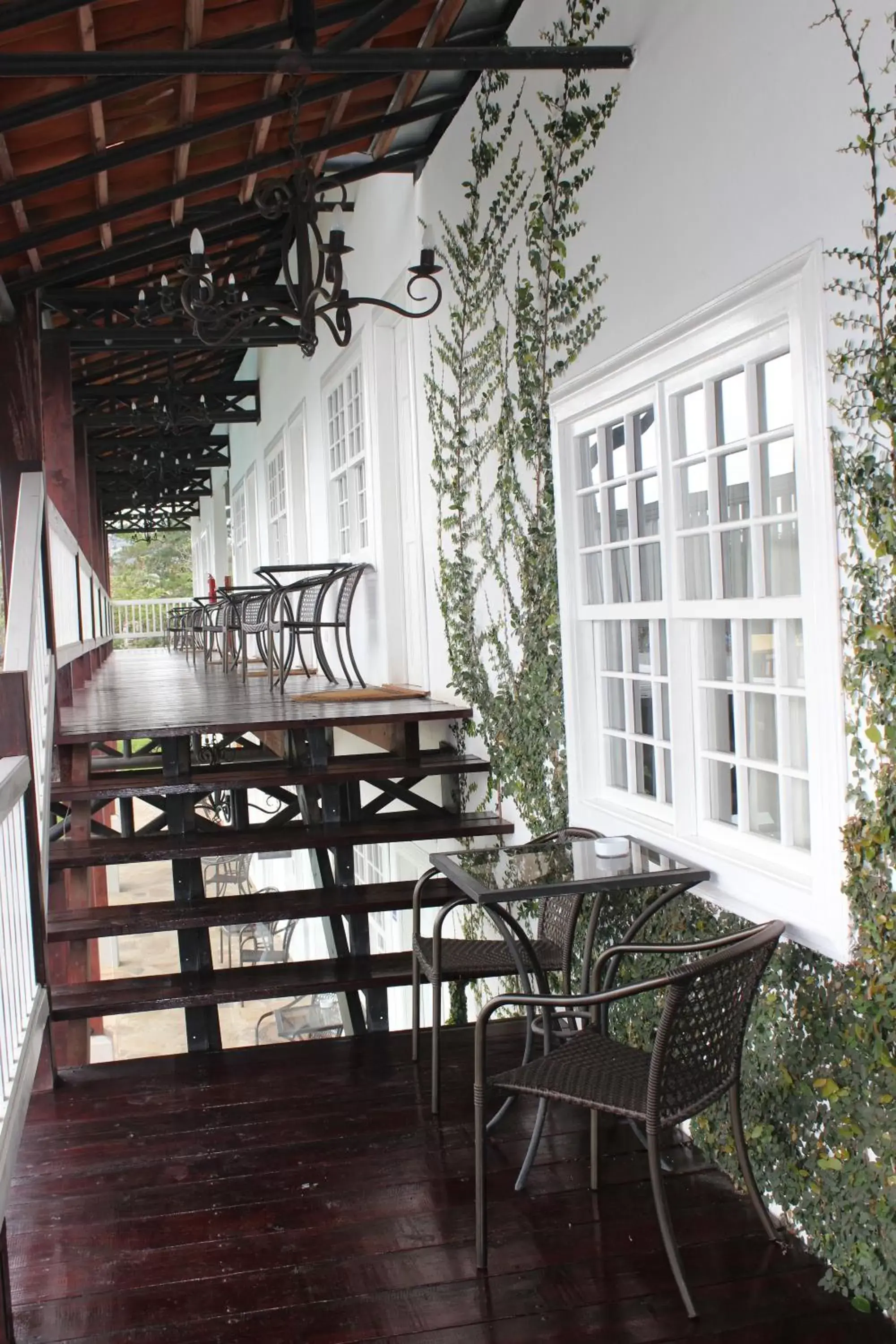 Balcony/Terrace in Hotel Luisiana