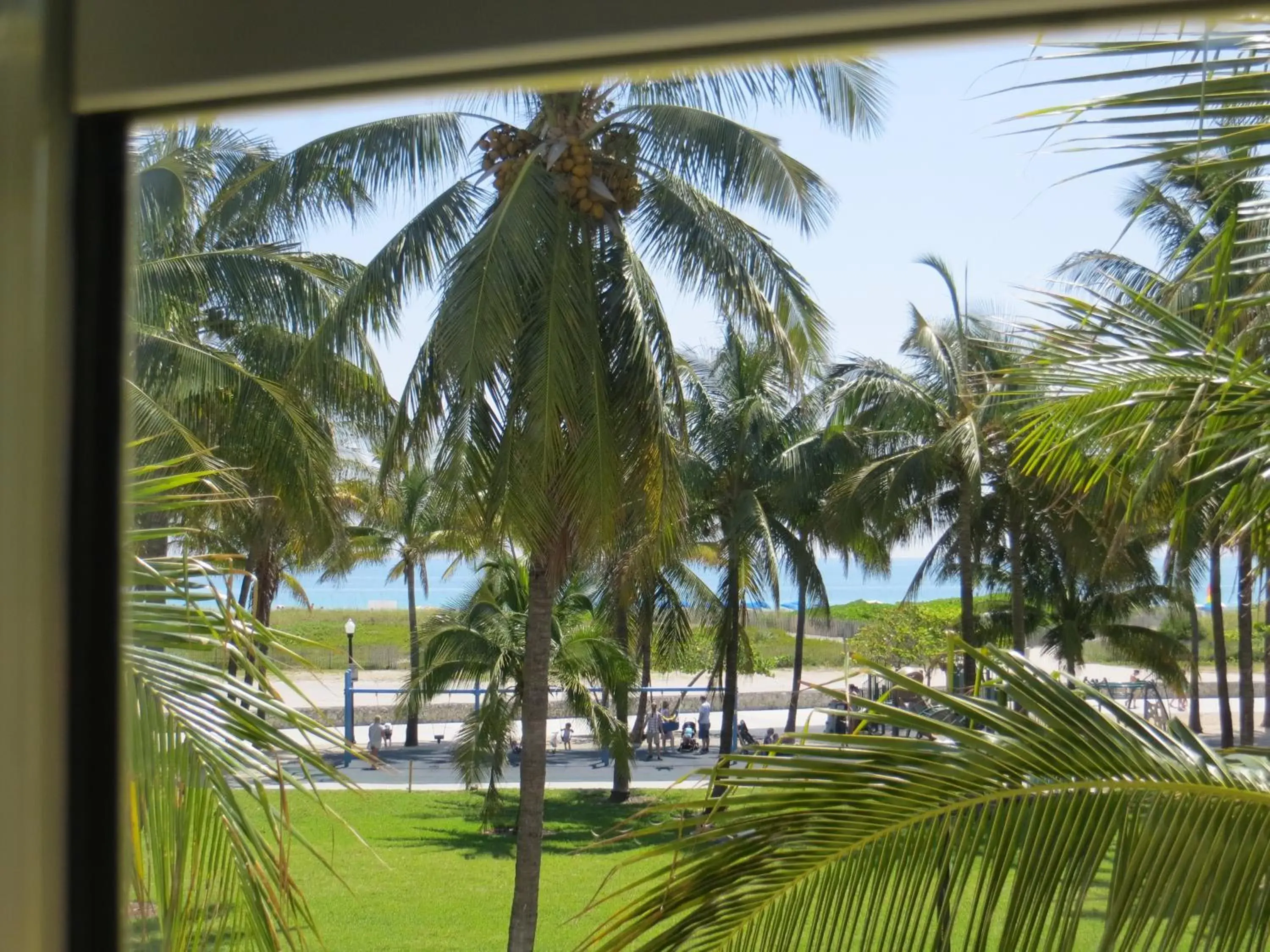 View (from property/room), Pool View in Leslie Hotel Ocean Drive