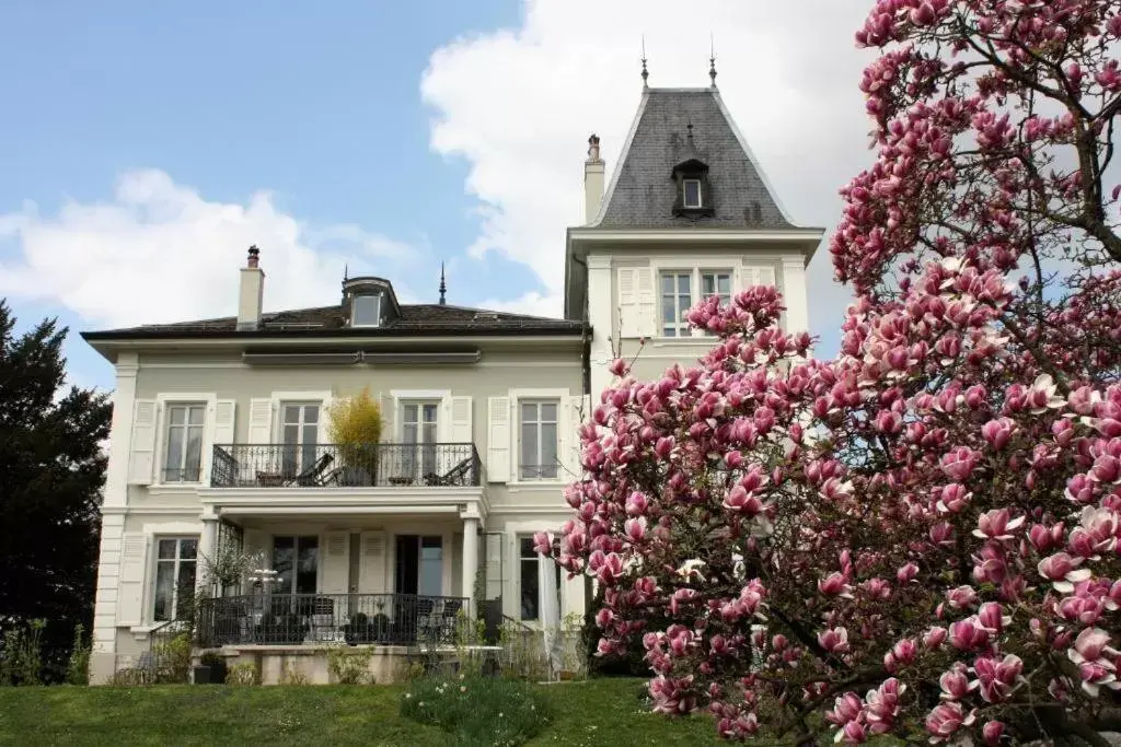 Property Building in La Maison d'Igor