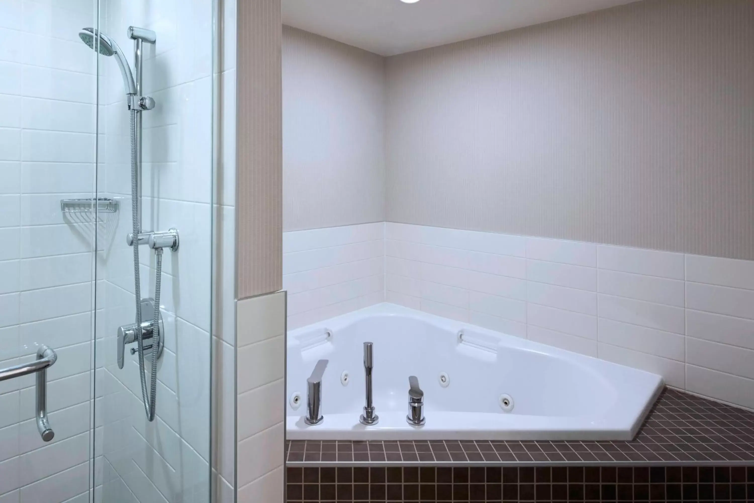 Swimming pool, Bathroom in Delta Hotels by Marriott Winnipeg