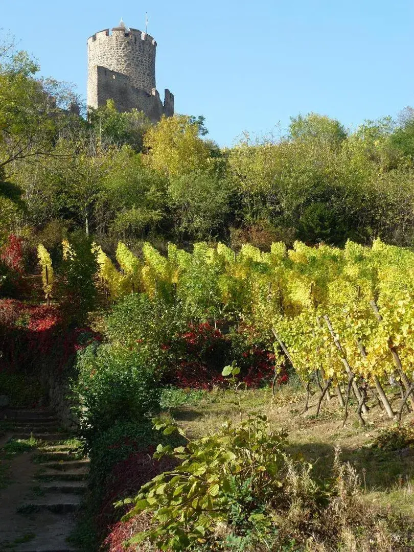 Garden in Hotel Les Remparts