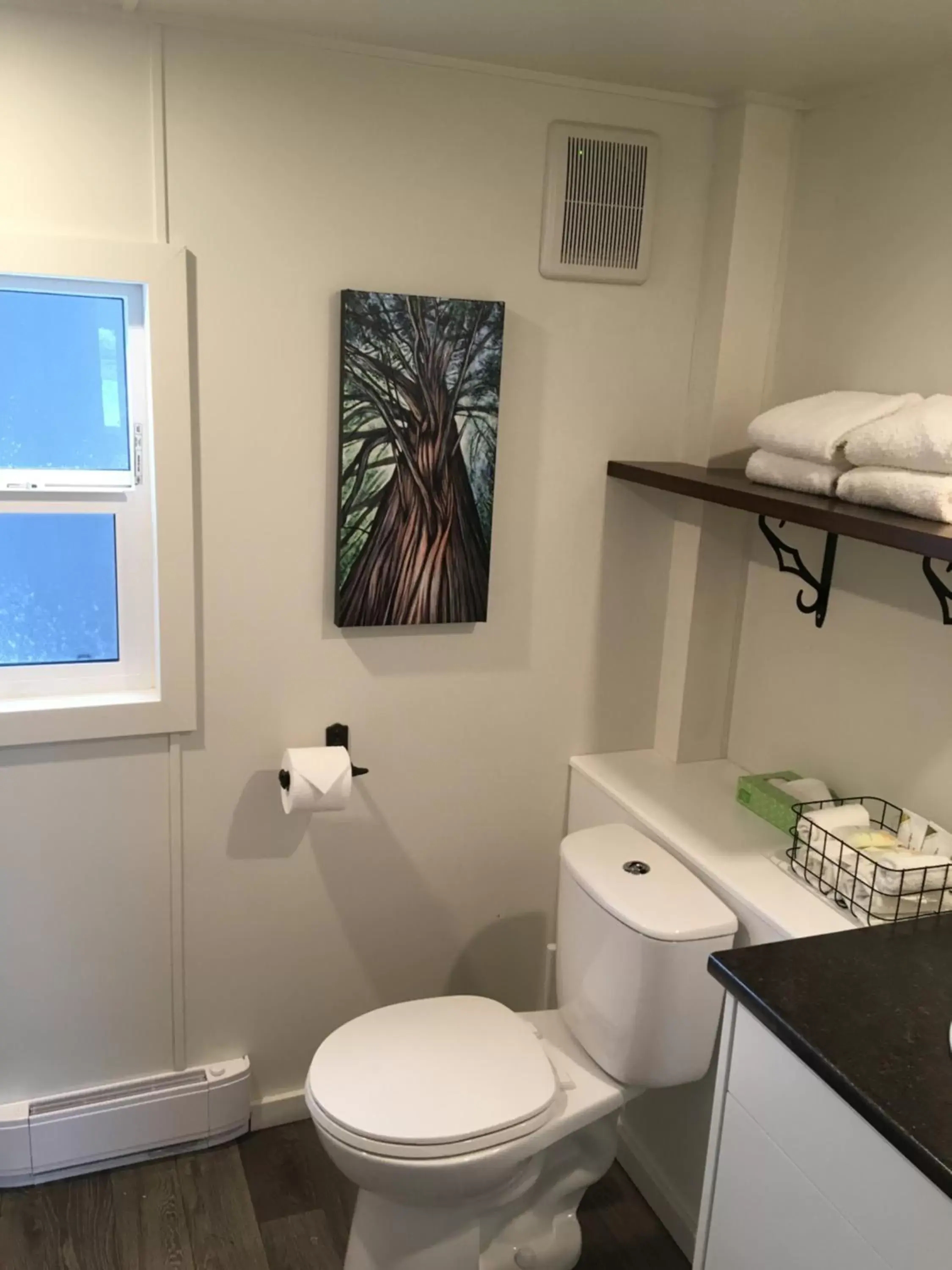 Bathroom in Tiny Homes by Snow Valley Lodging