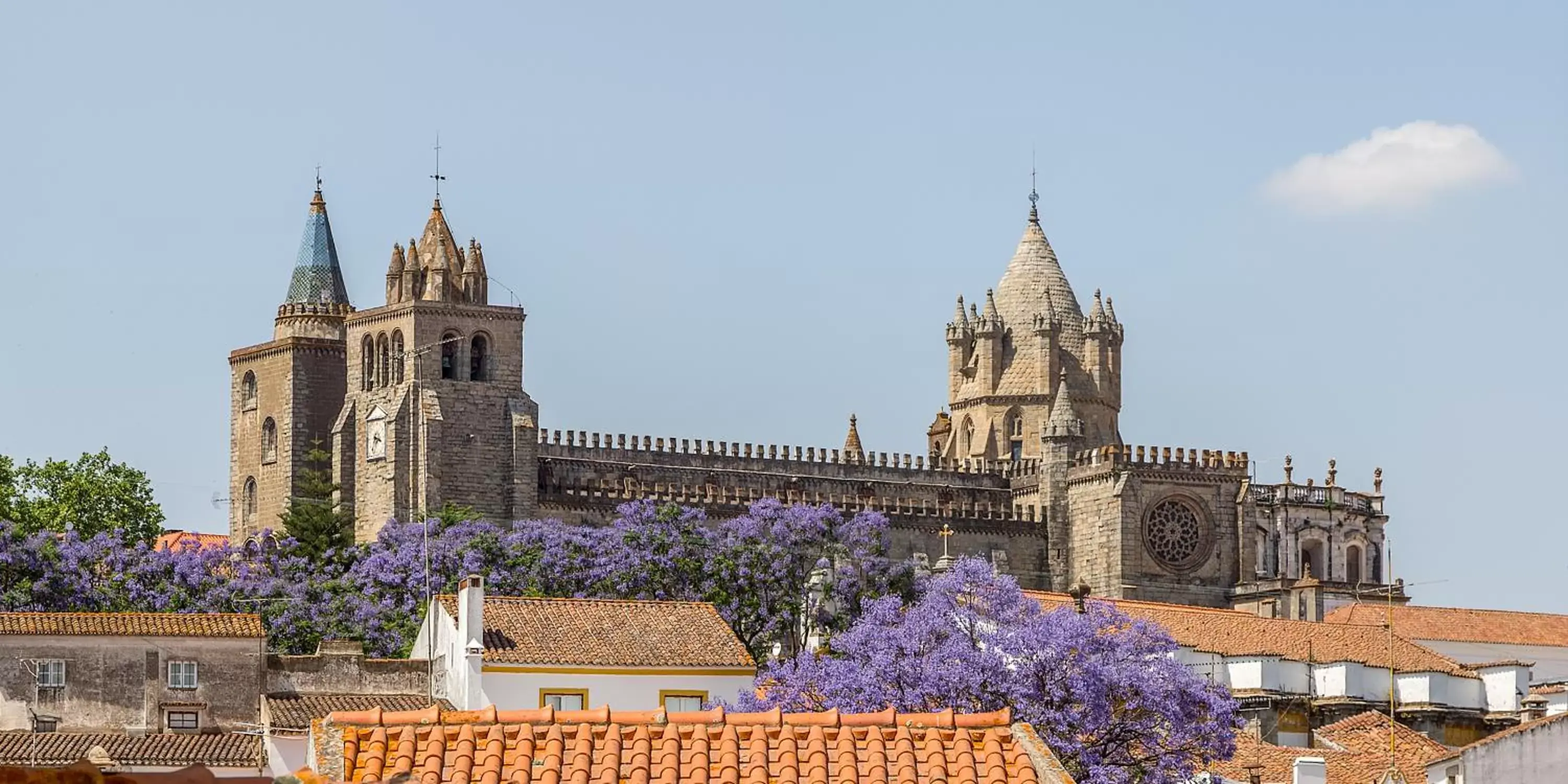 Off site, Nearby Landmark in Evora Olive Hotel