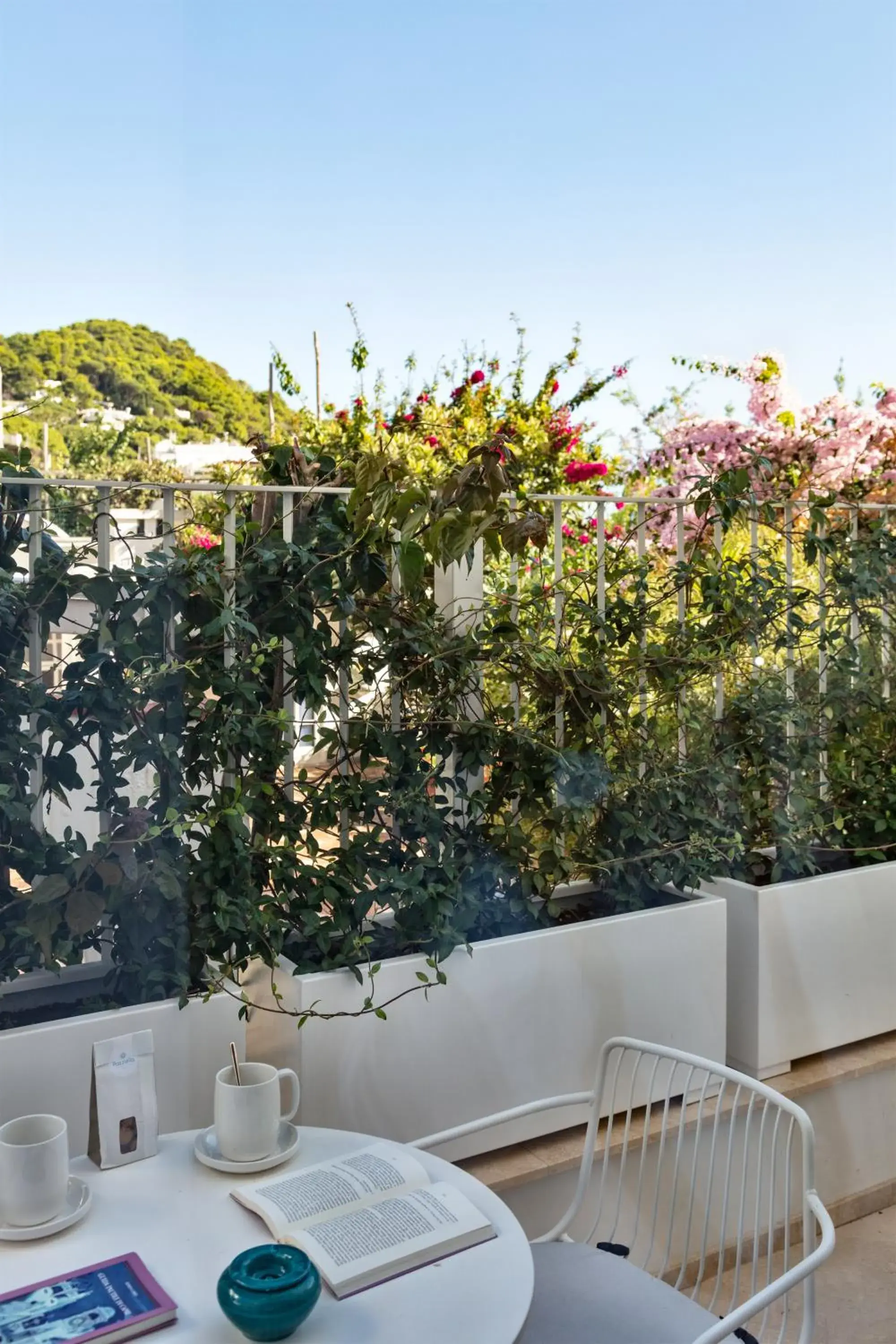 Balcony/Terrace in A Pazziella