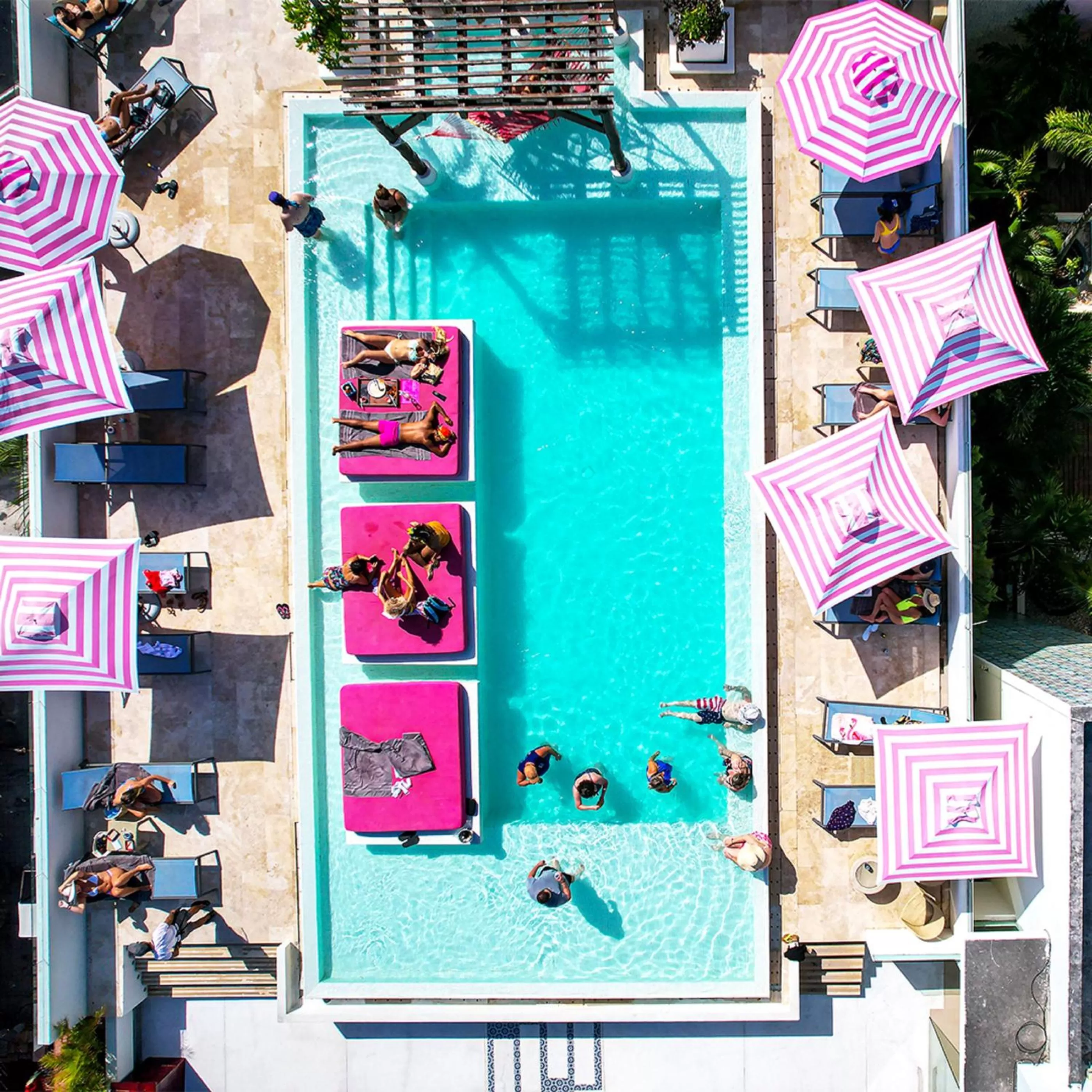 Swimming pool in Hotel The Palm